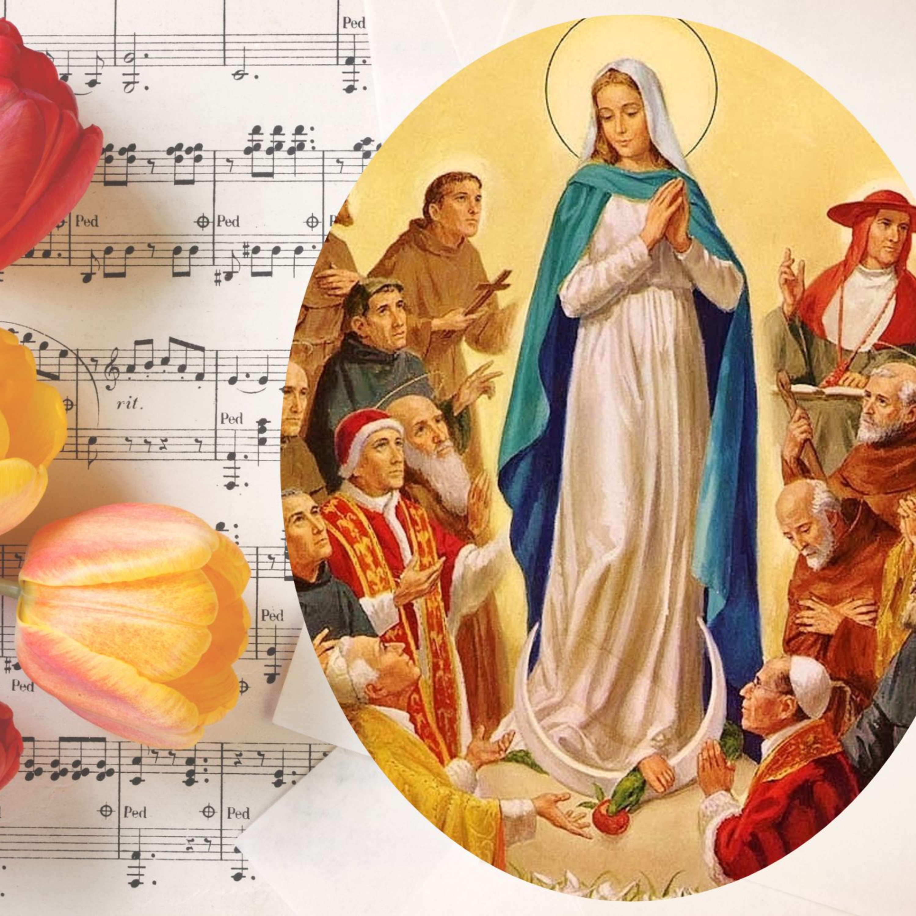 Vox Immaculatae