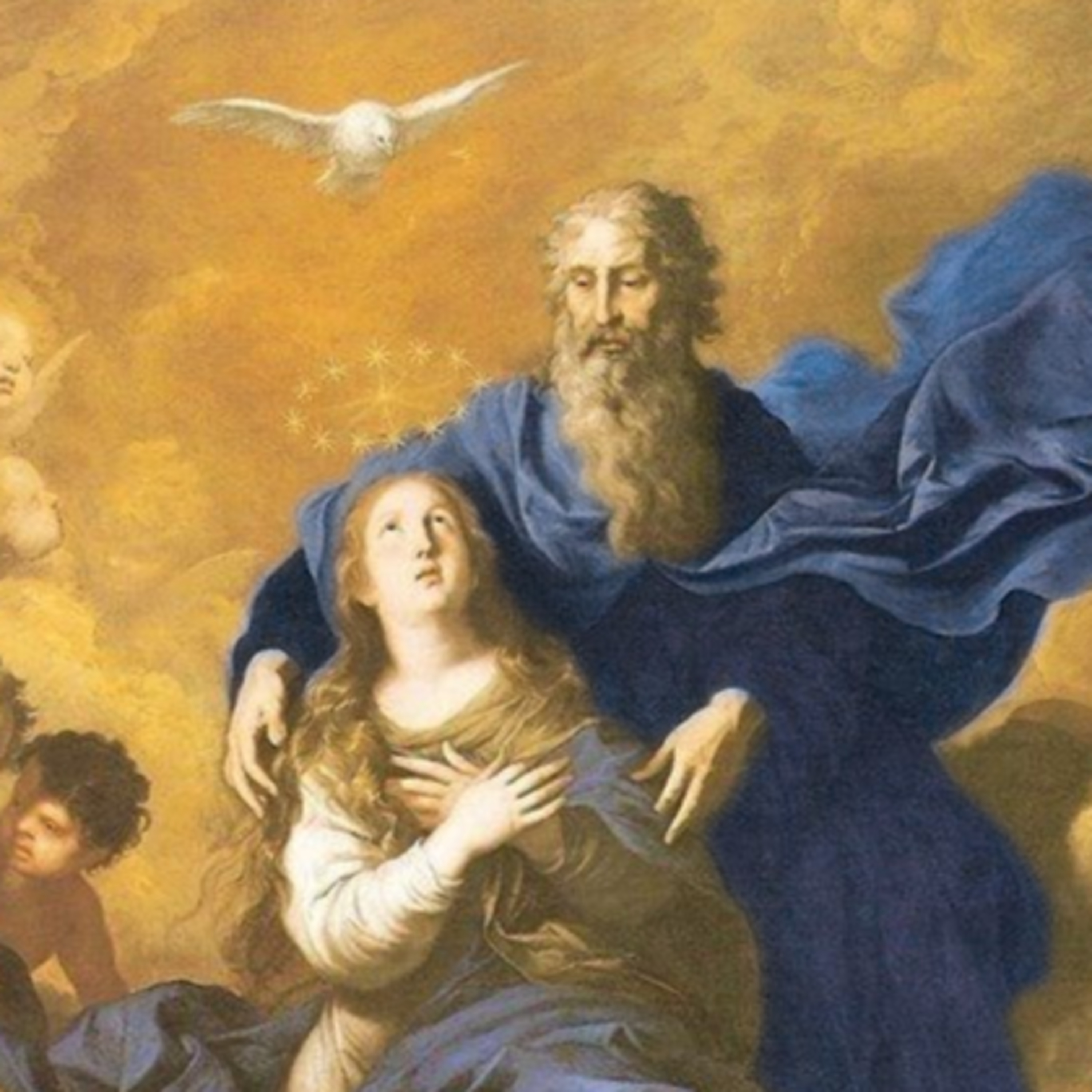 Vox Immaculatae