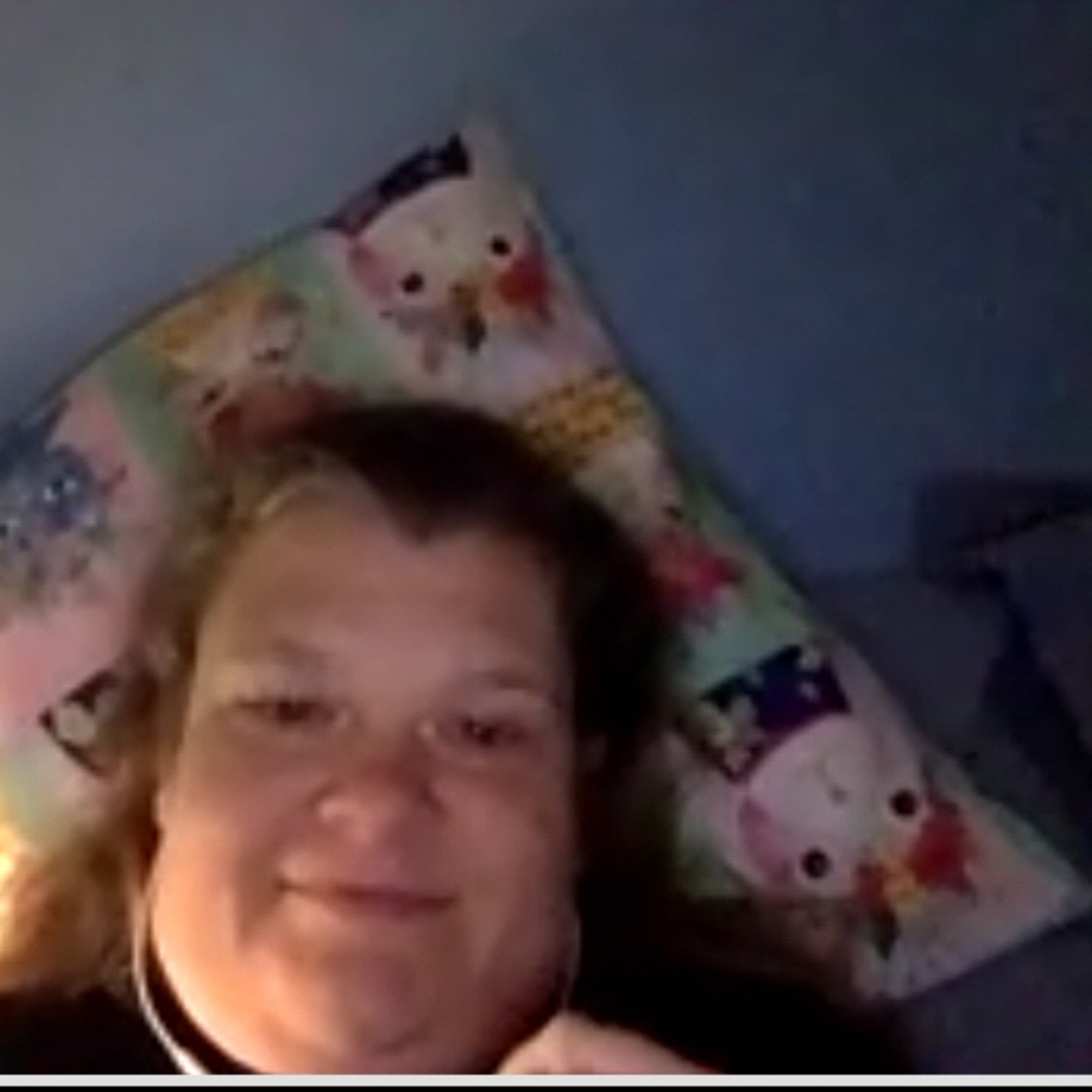 Episode 180: Robin’s Fullhouse Podcast Introduction!