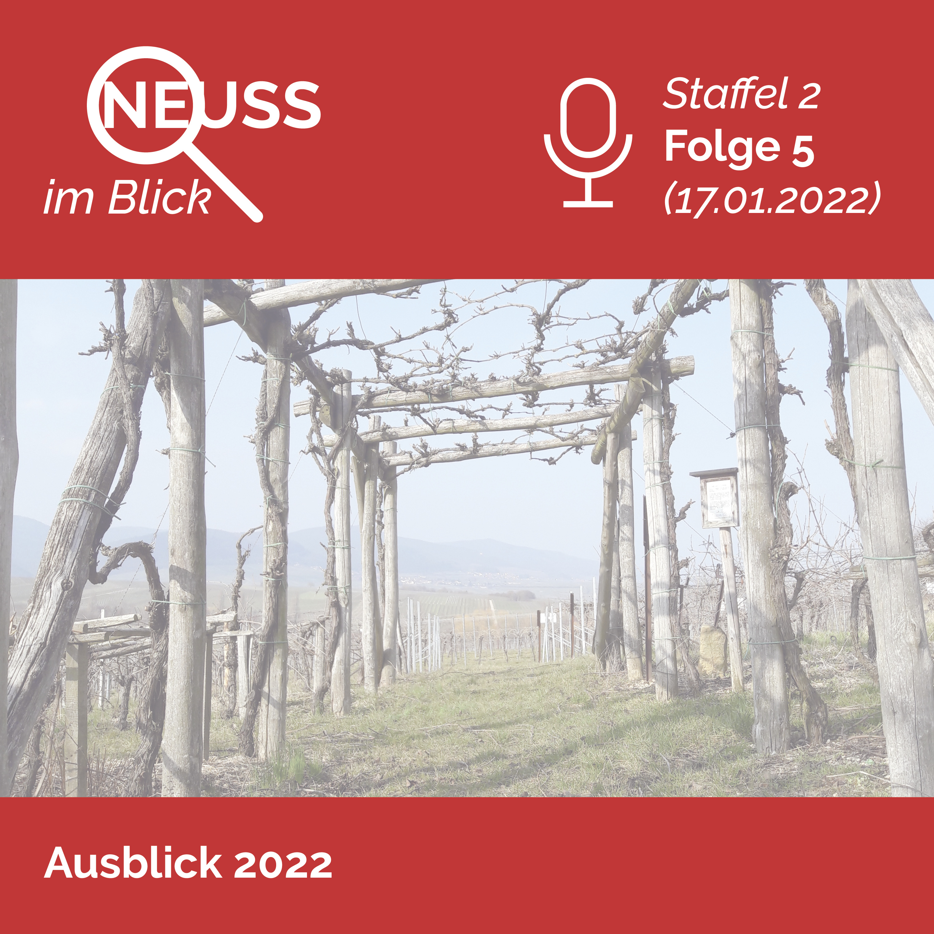 Neuss im Blick - Das Politik-Update mit Michael Ziege