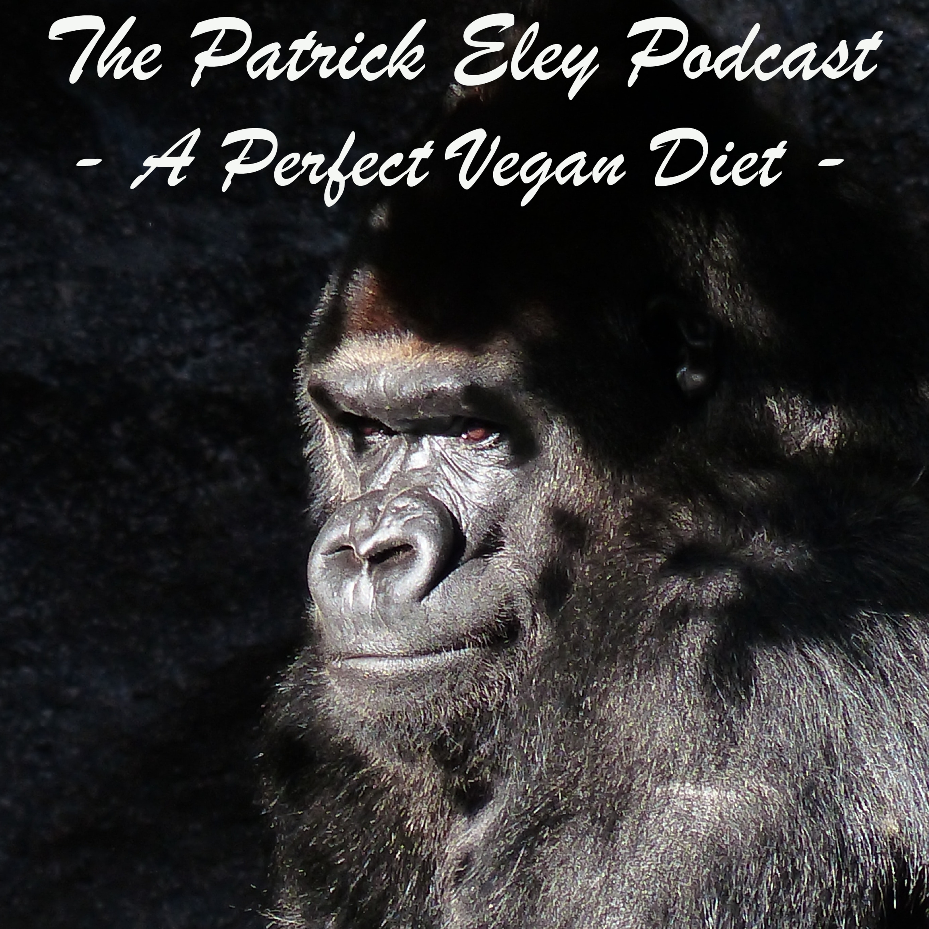 The Patrick Eley Podcast