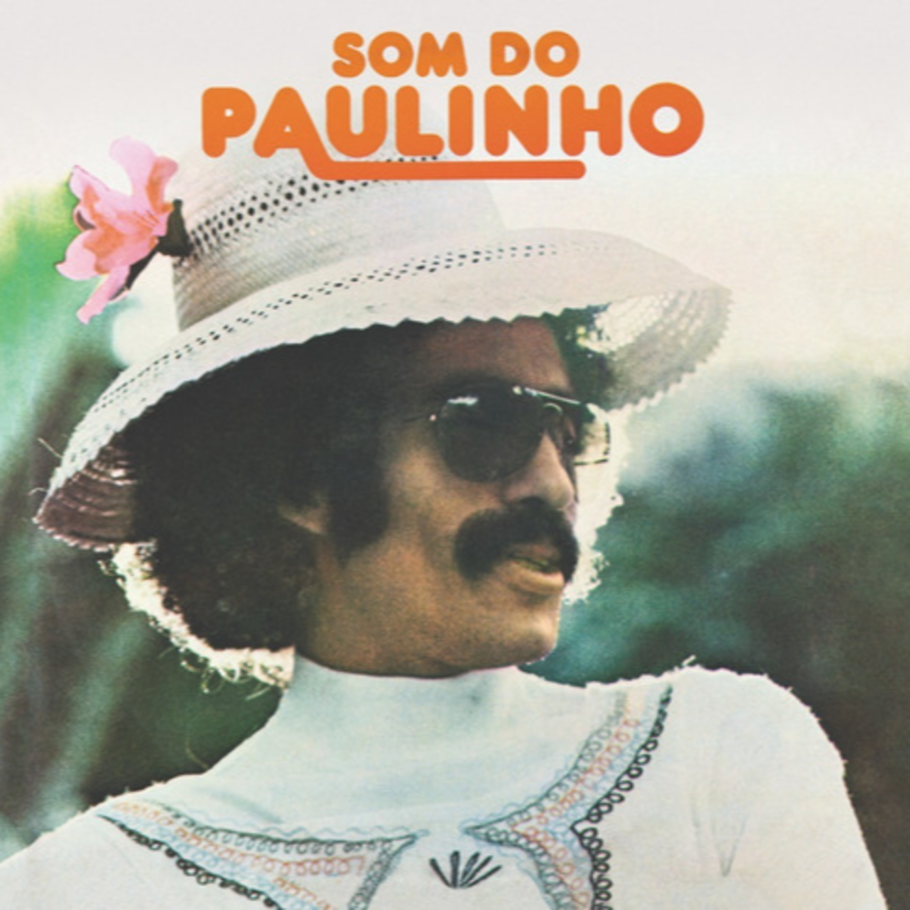 Folhas Vivas Farfalham!!