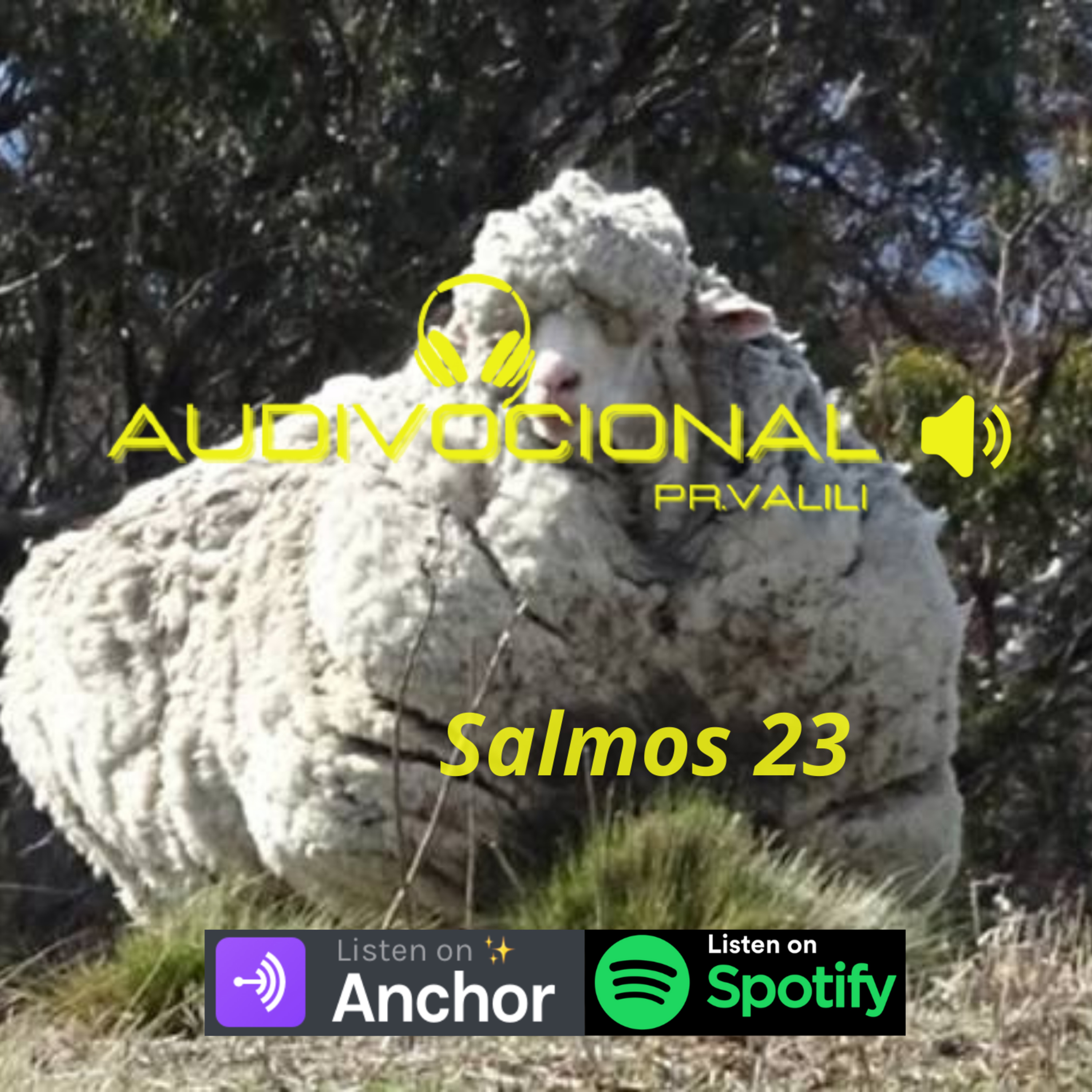 SERMÃO EXPOSITIVO episode artwork