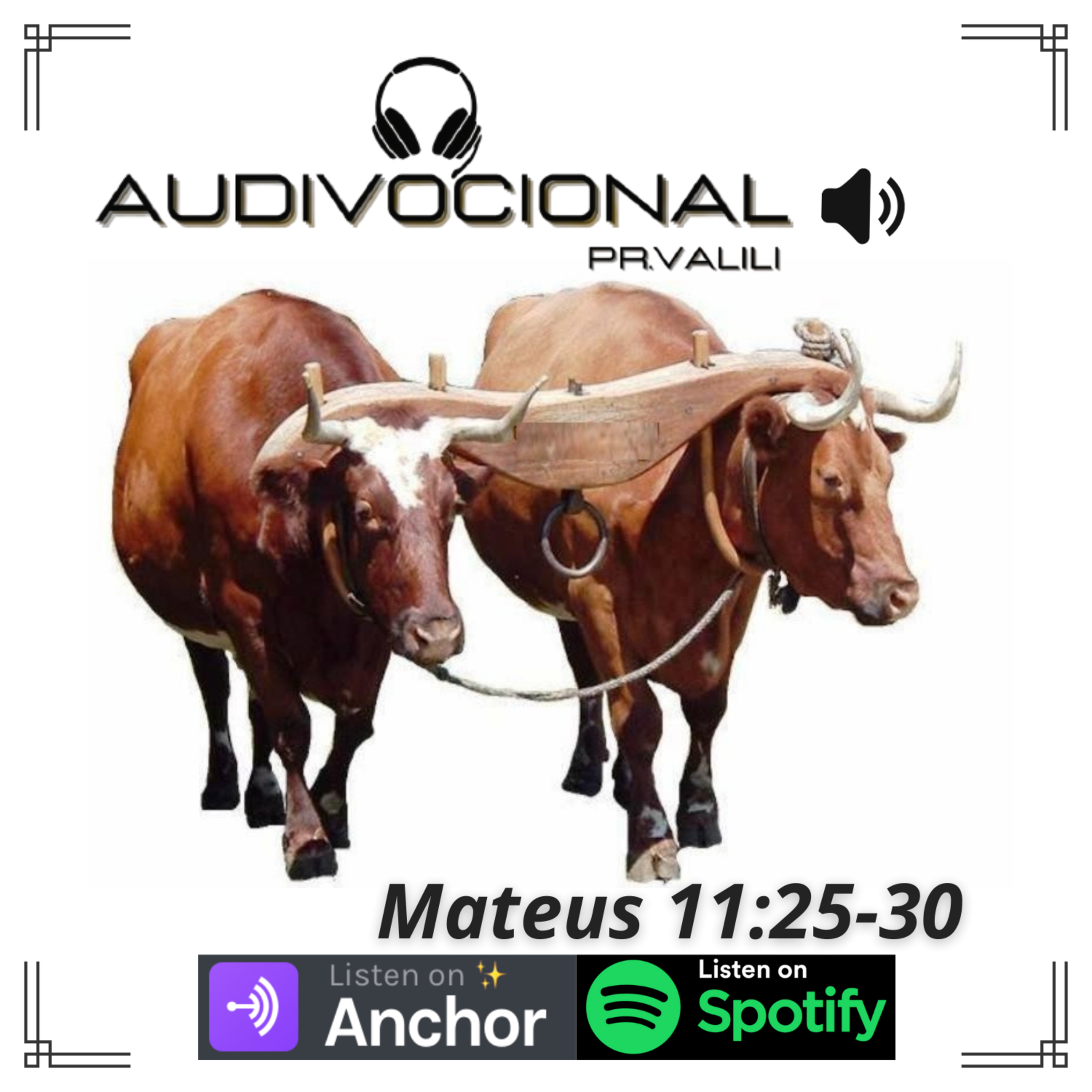 SERMÃO EXPOSITIVO episode artwork