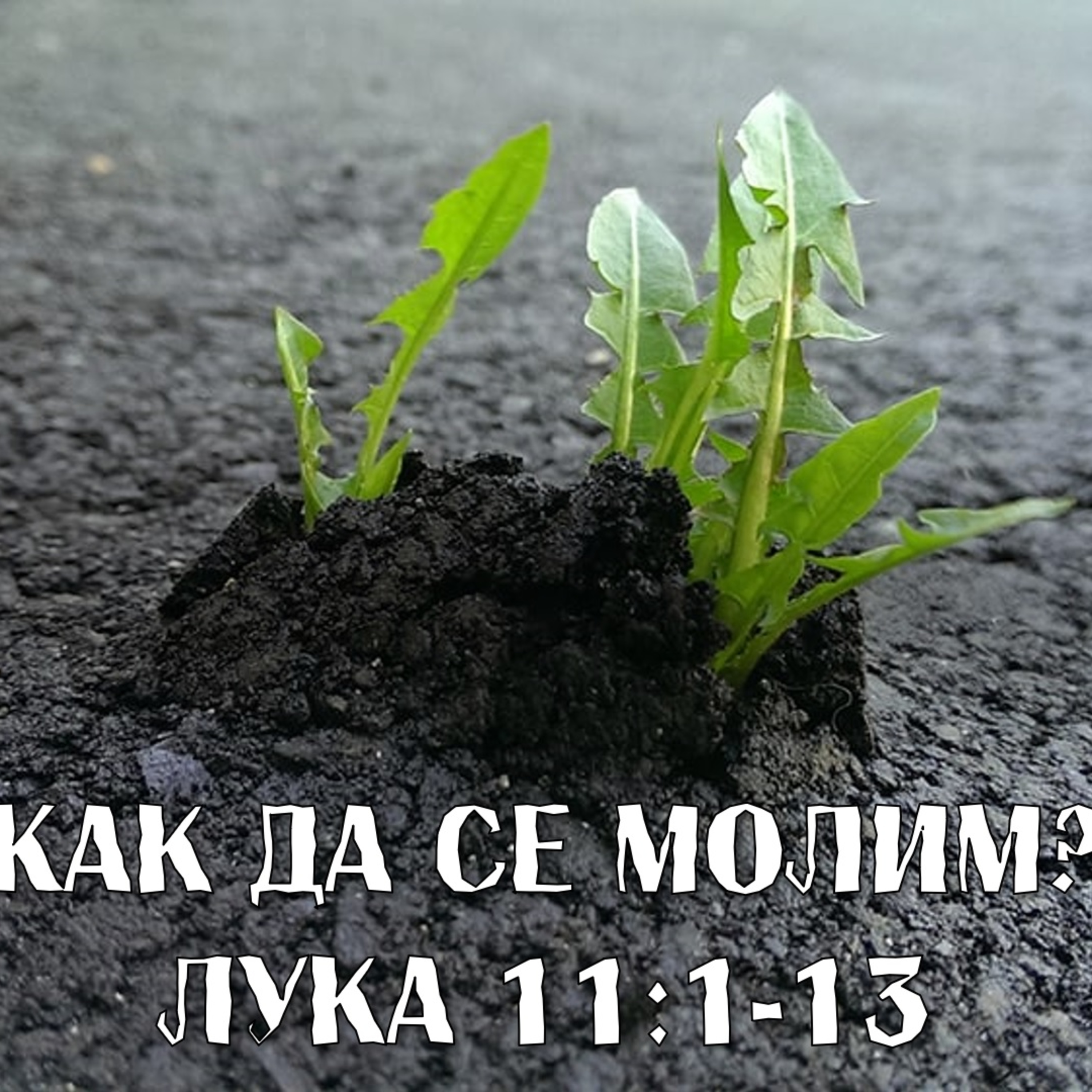 Притчите на Исус - за молитвата episode artwork