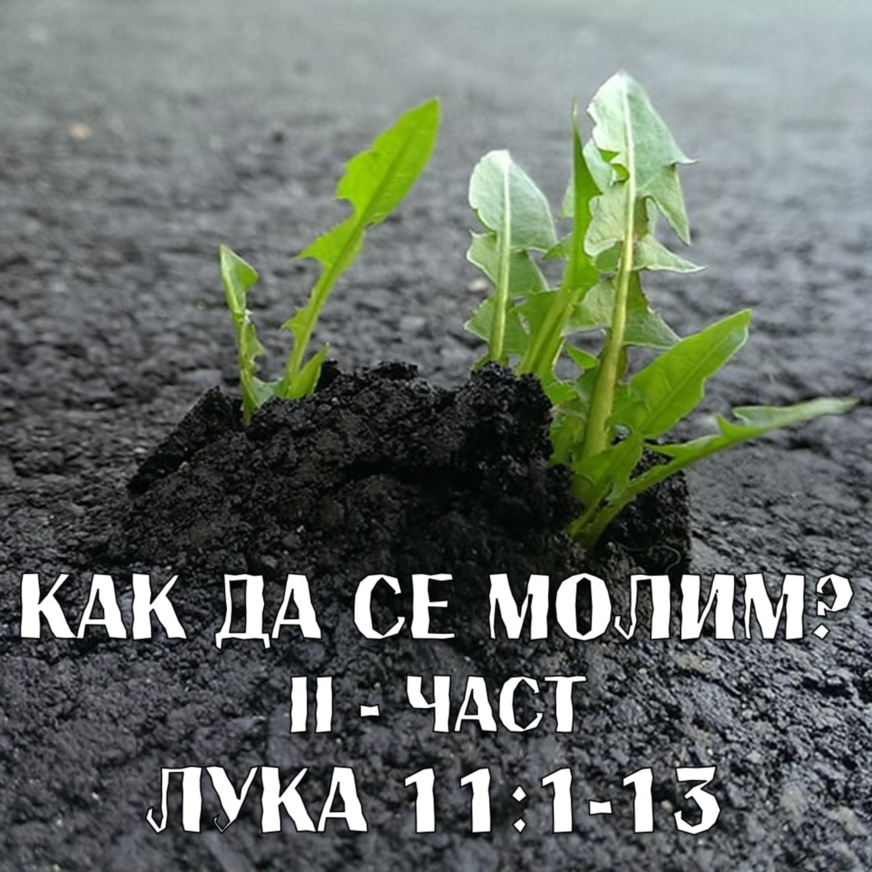 Притчите на Исус - за молитвата част 2 episode artwork