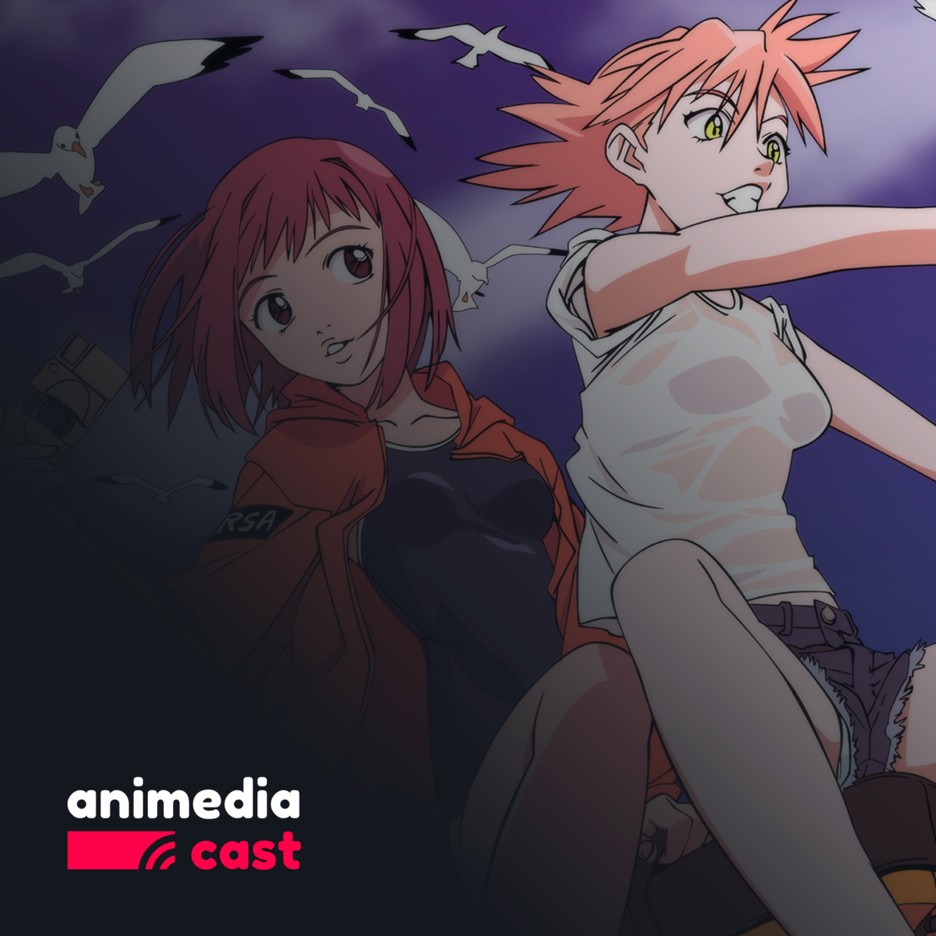 AnimediaCast