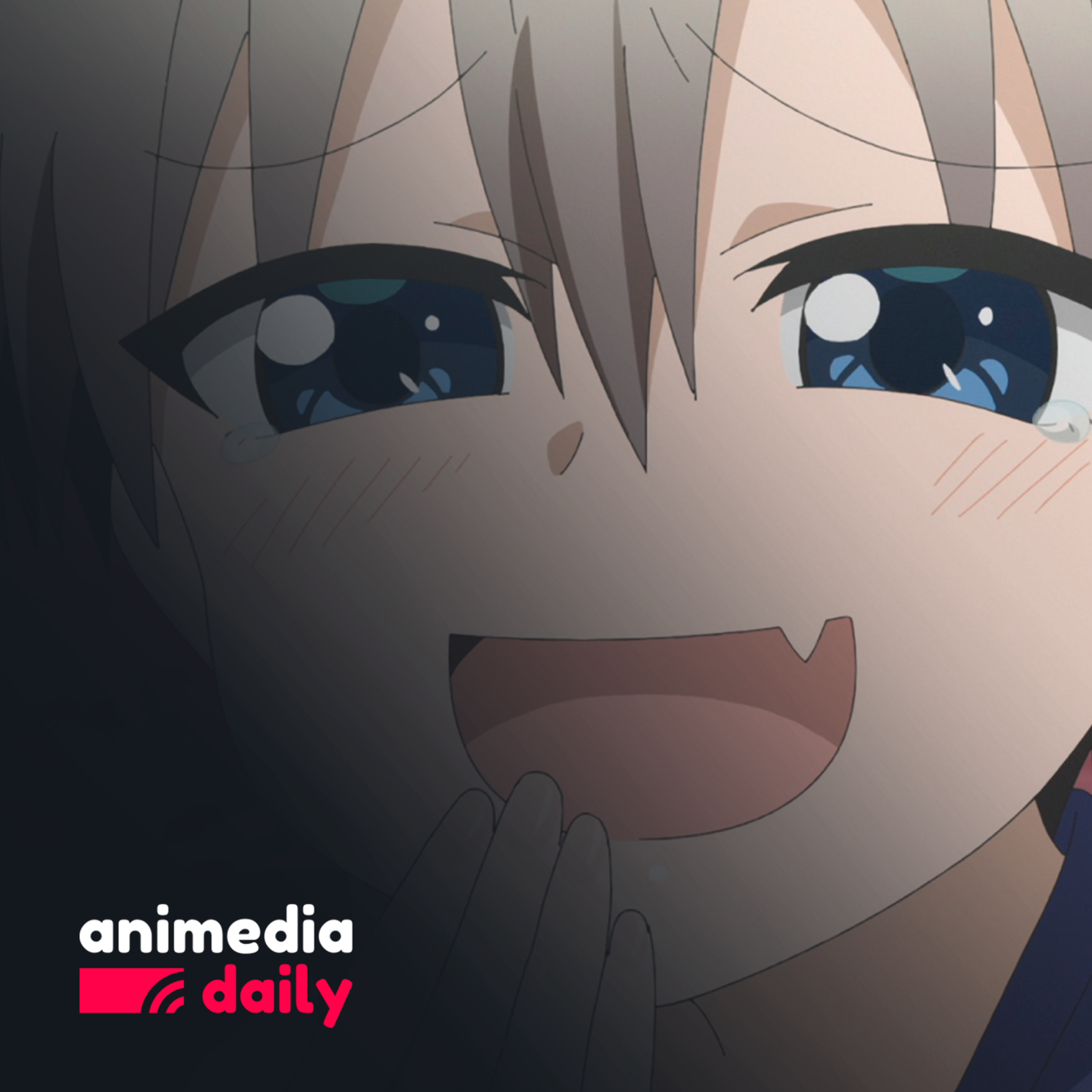 AnimediaCast