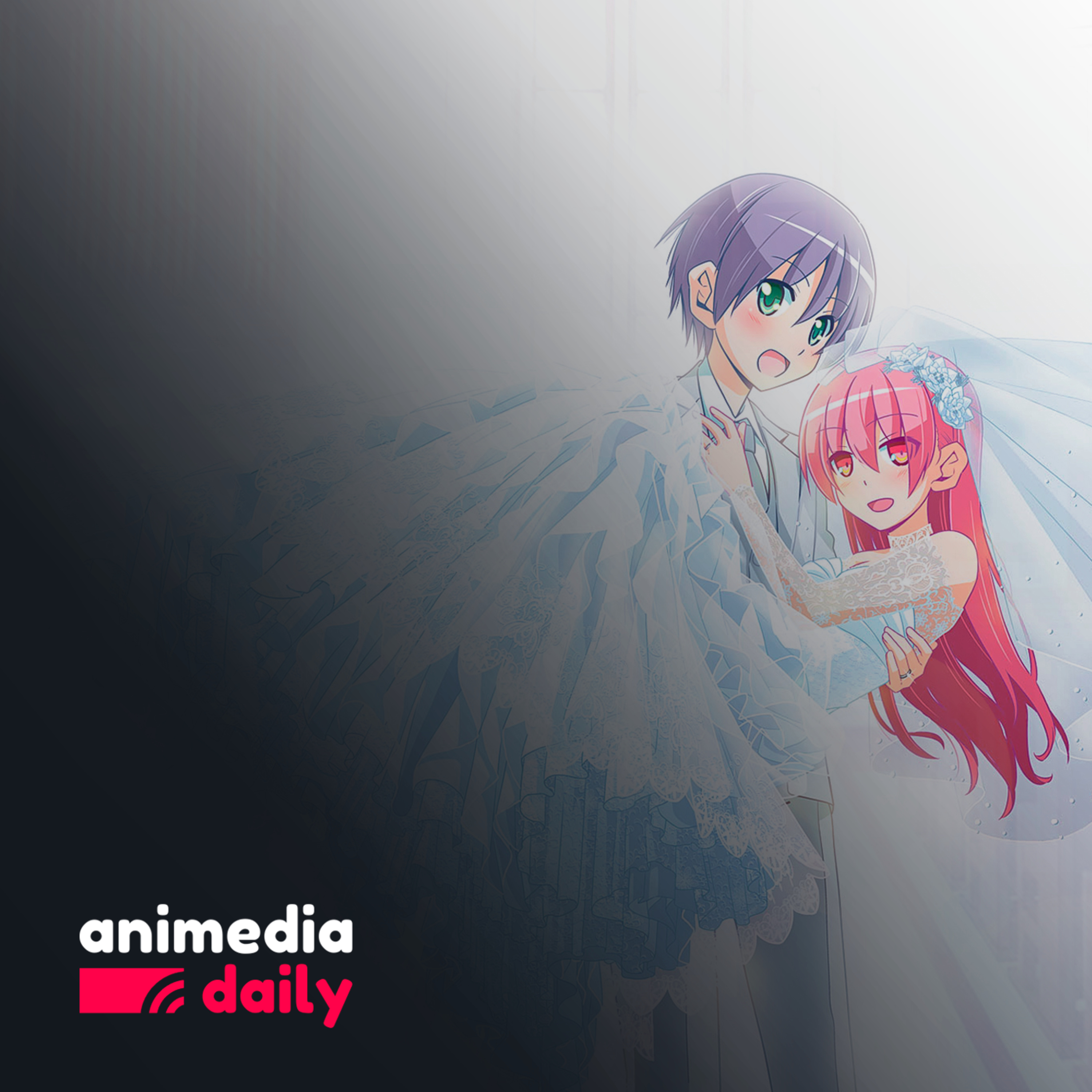 AnimediaCast