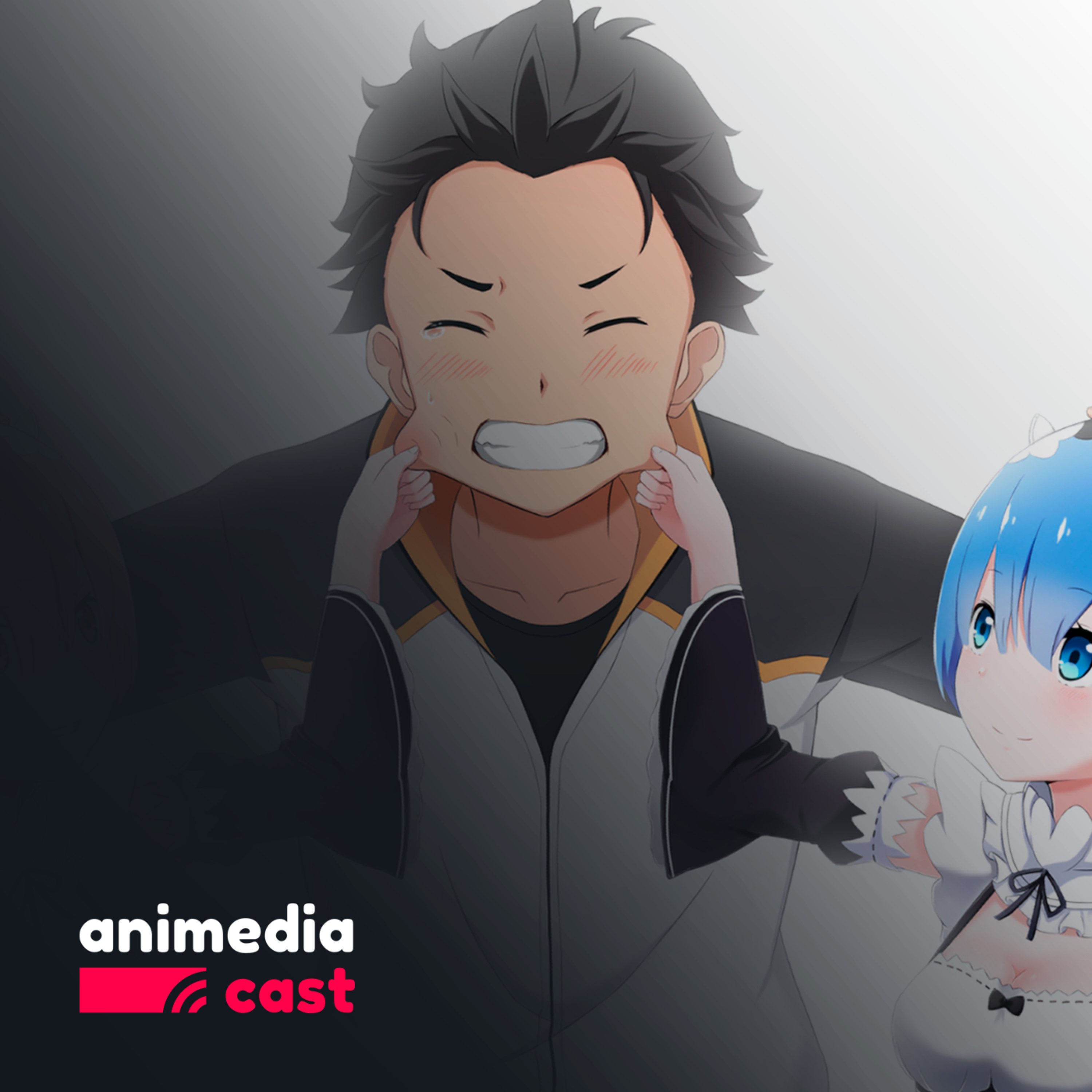AnimediaCast
