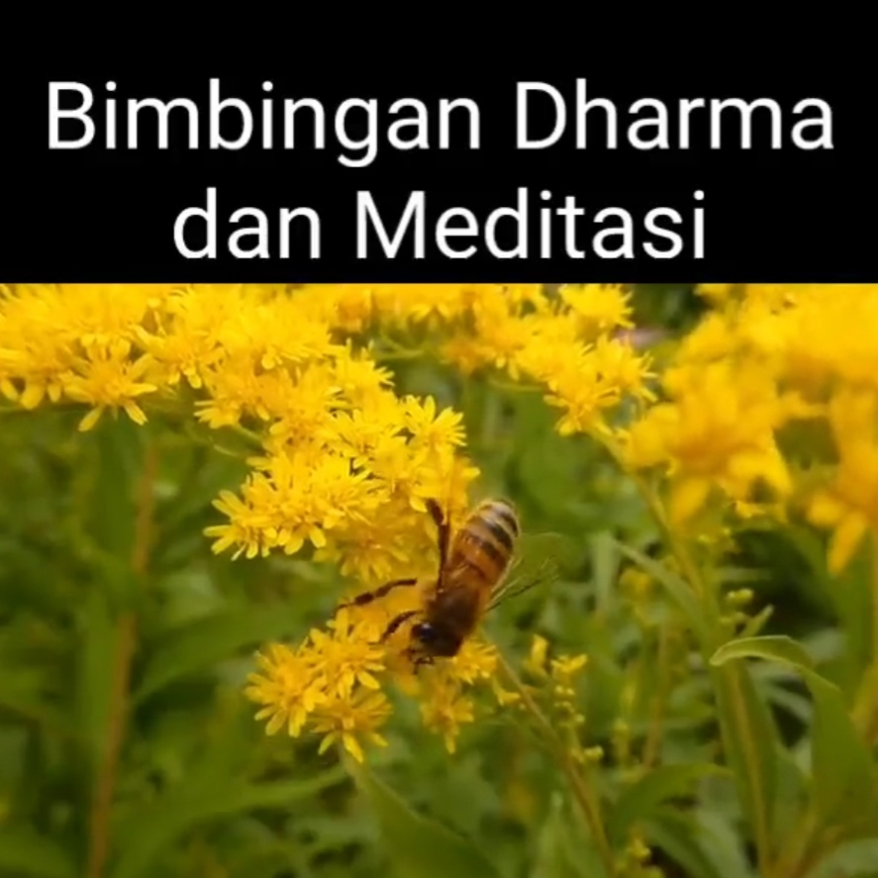 Meditasi 01 - Three in One (Bimbingan Dharma dan Meditasi bersama Romo Ary Sunarko) episode artwork