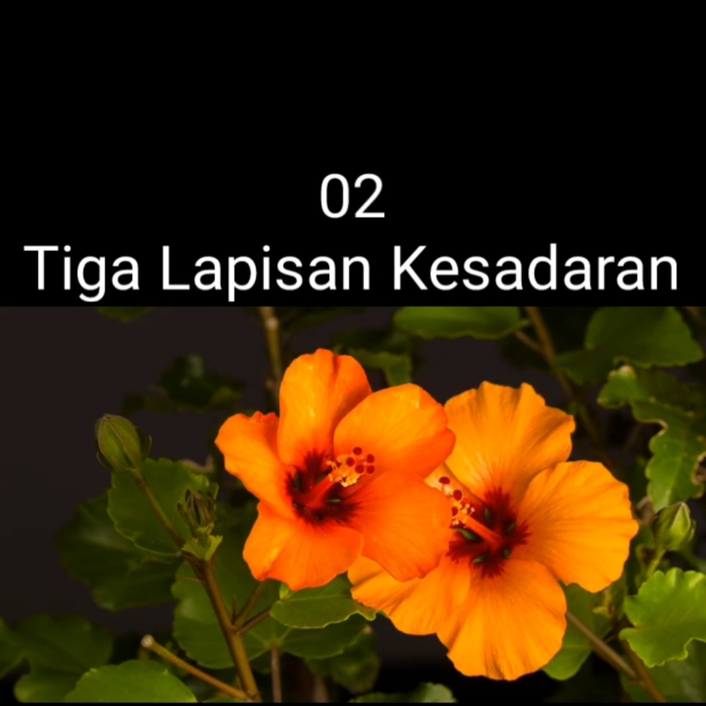MEDITASI 02 - "Tiga Lapisan Kesadaran". Bimbingan Dharma dan Meditasi bersama Romo Ary Sunarko episode artwork