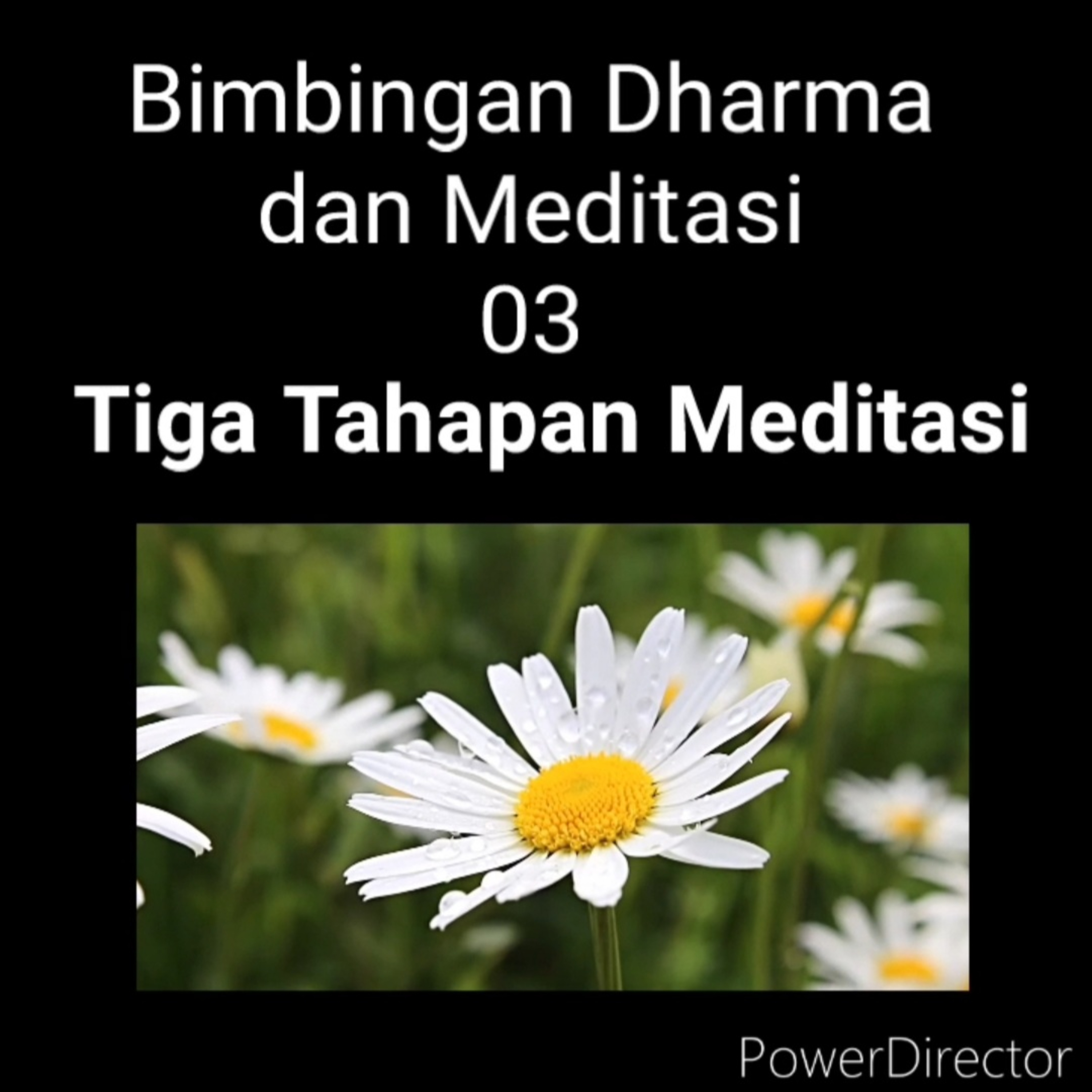 MEDITASI 03 - "Tiga Tahapan Meditasi". Bimbingan Dharma dan Meditasi bersama Romo Ary Sunarko episode artwork