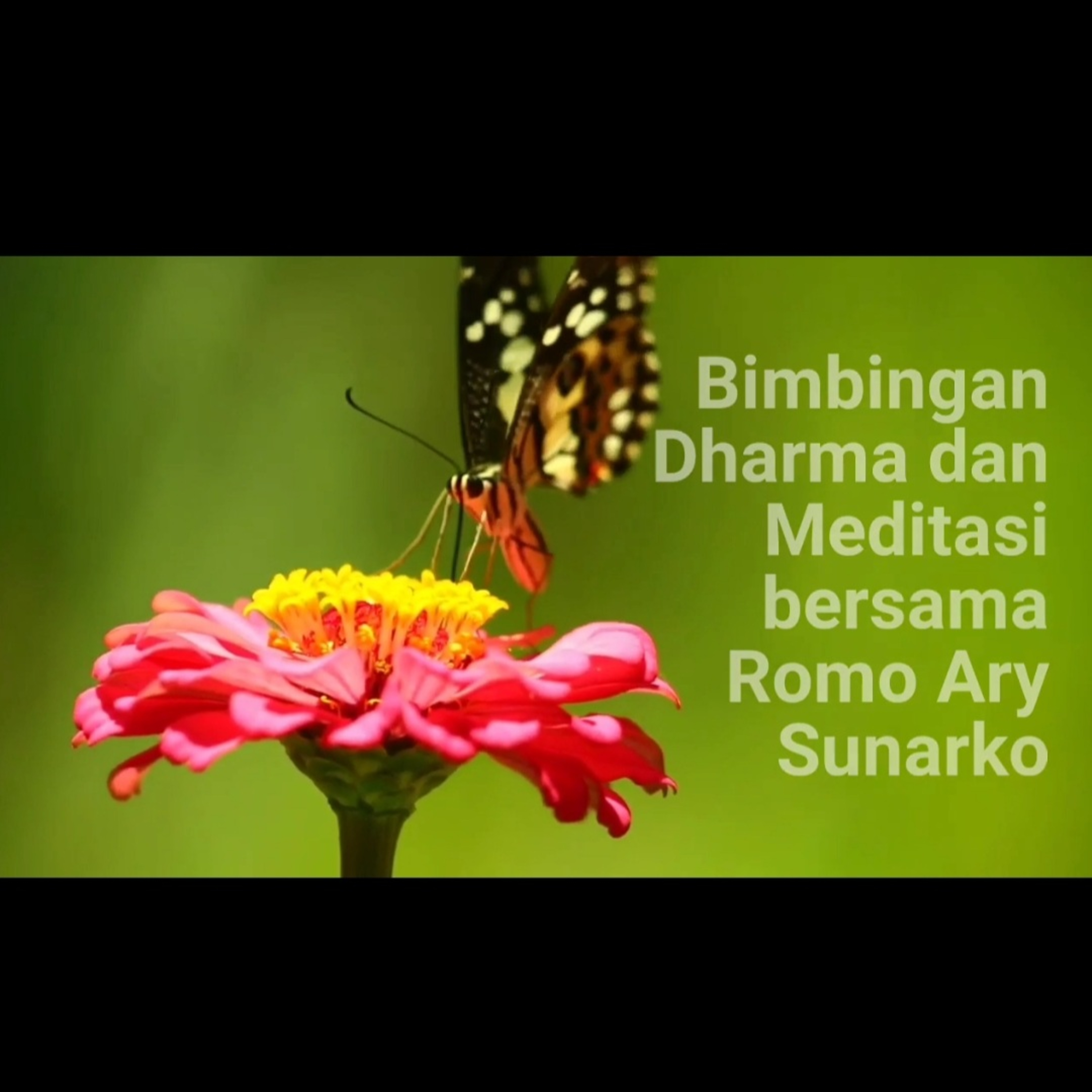 MEDITASI 07 - "Relaksasi" bersama Romo ARY SUNARKO episode artwork