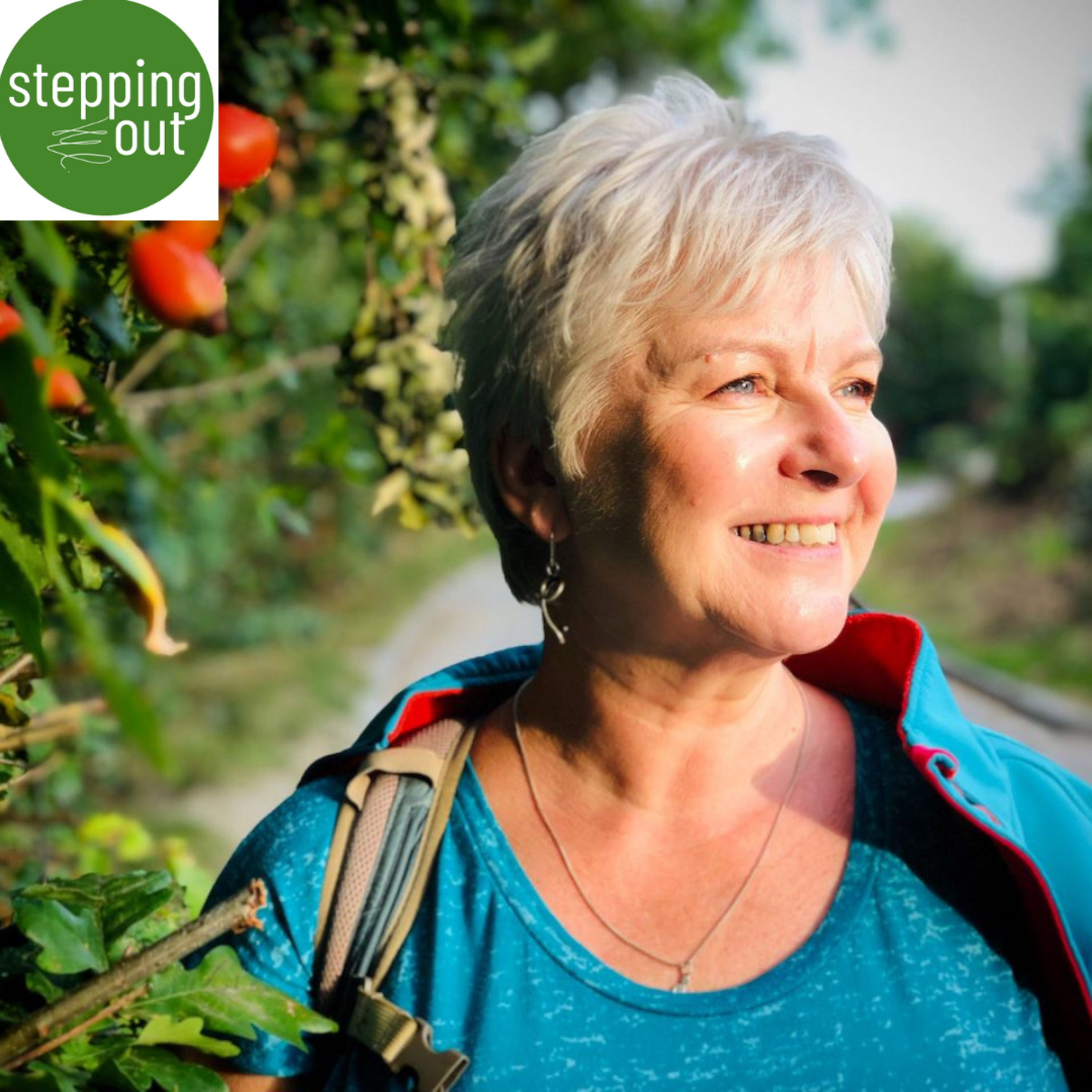 Stepping Out - Talking For Walking