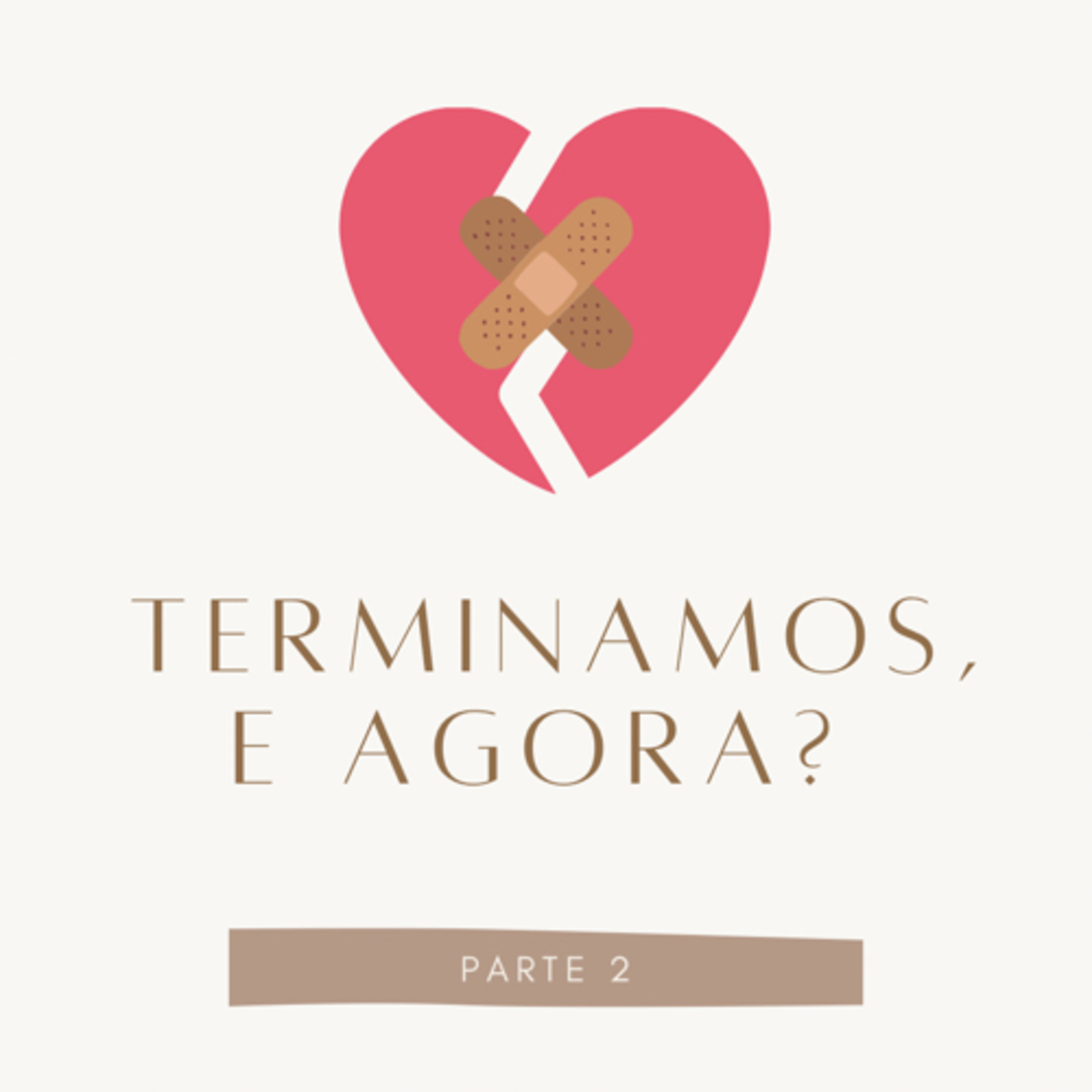 Terminamos, e agora? Parte II episode artwork
