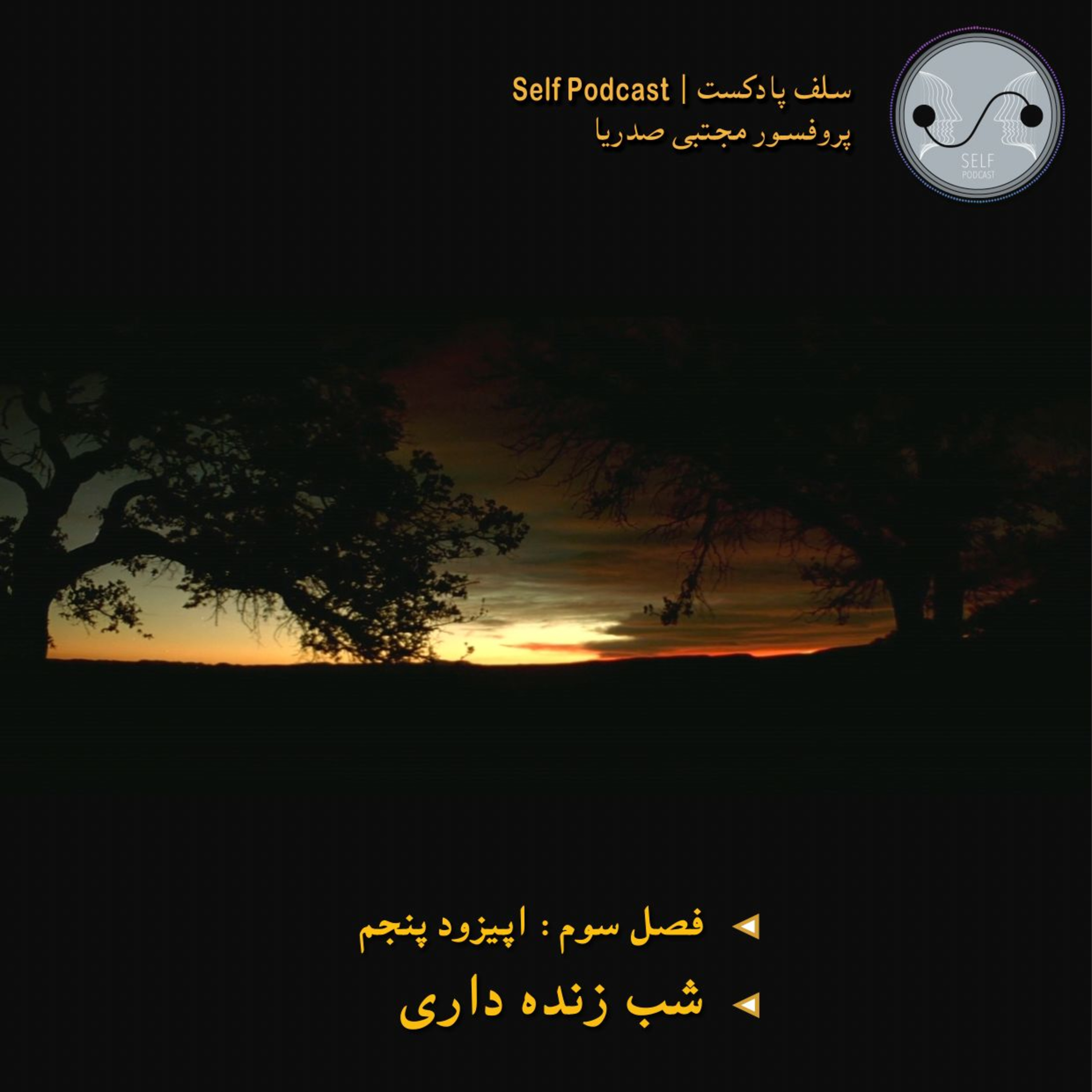 کاور شب زنده داری