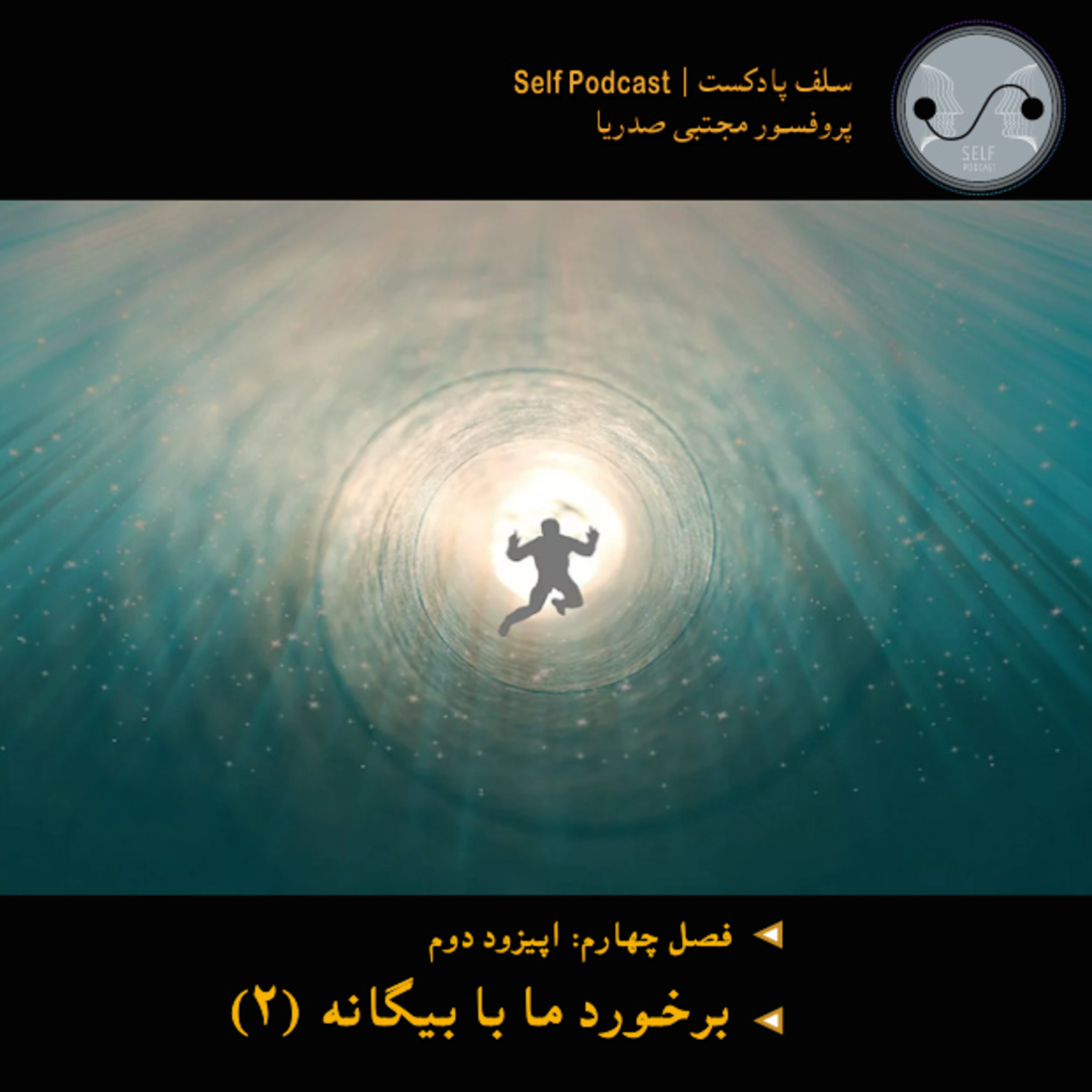 کاور برخورد ما با بیگانه ۲