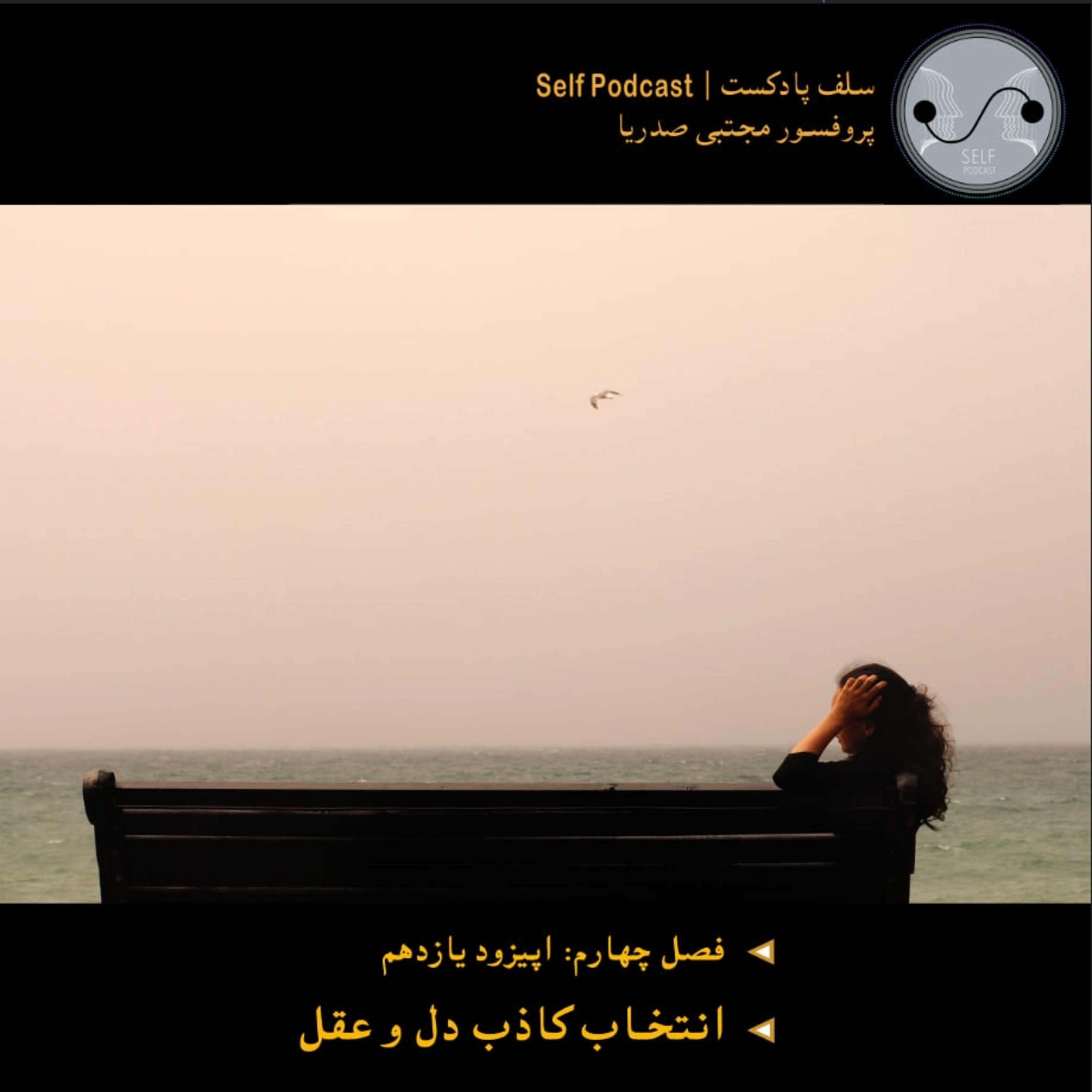 کاور انتخاب کاذب دل و عقل