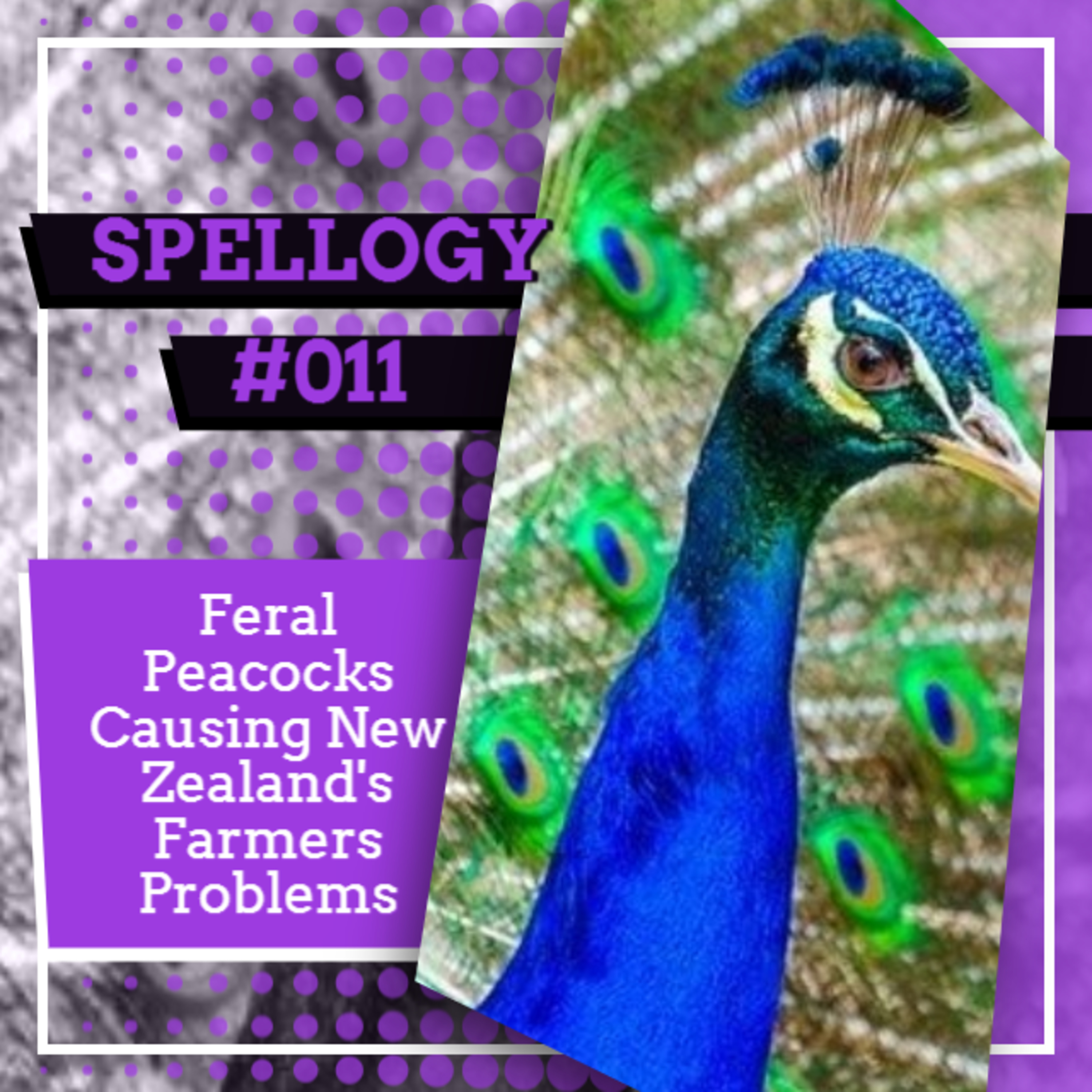 Spellogy