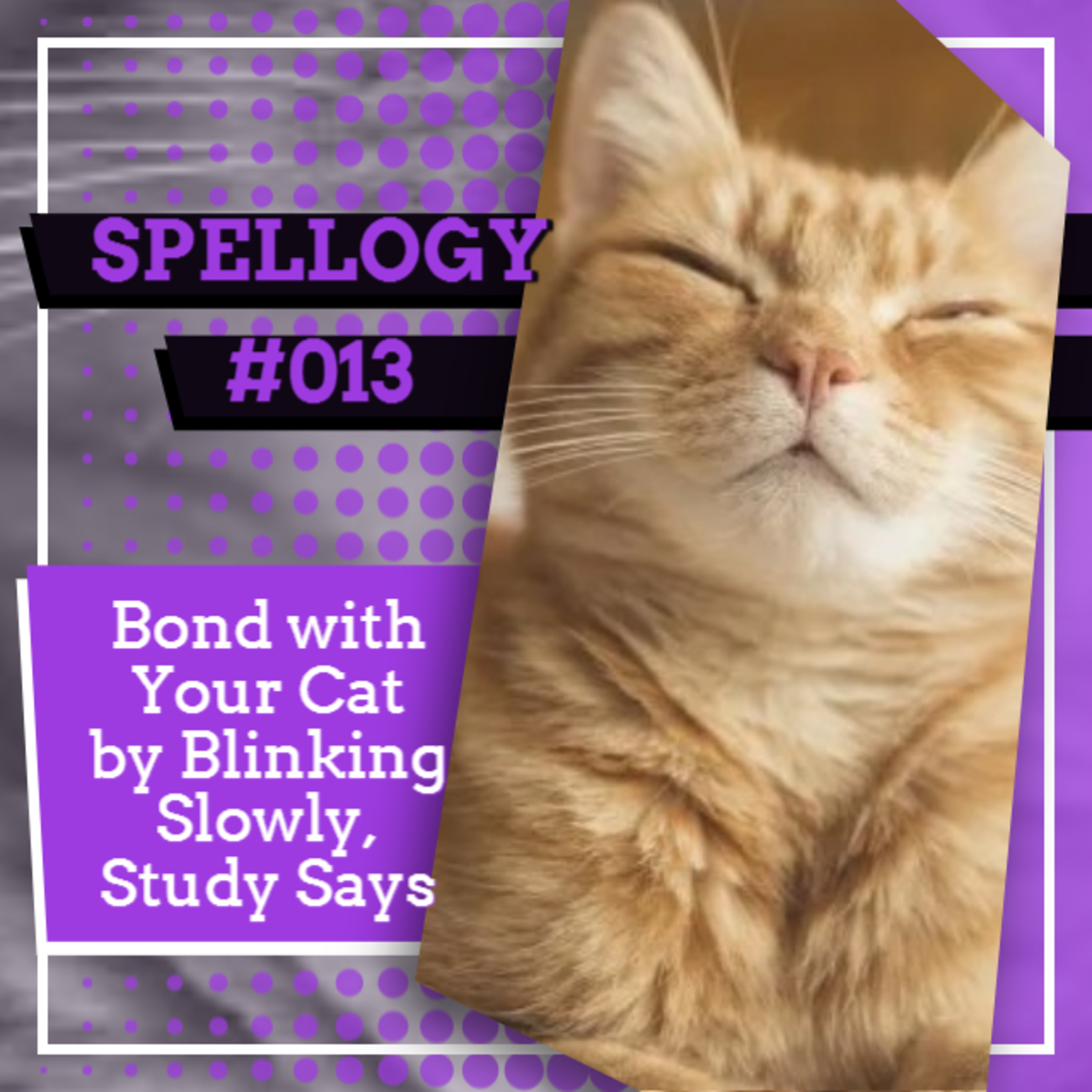 Spellogy