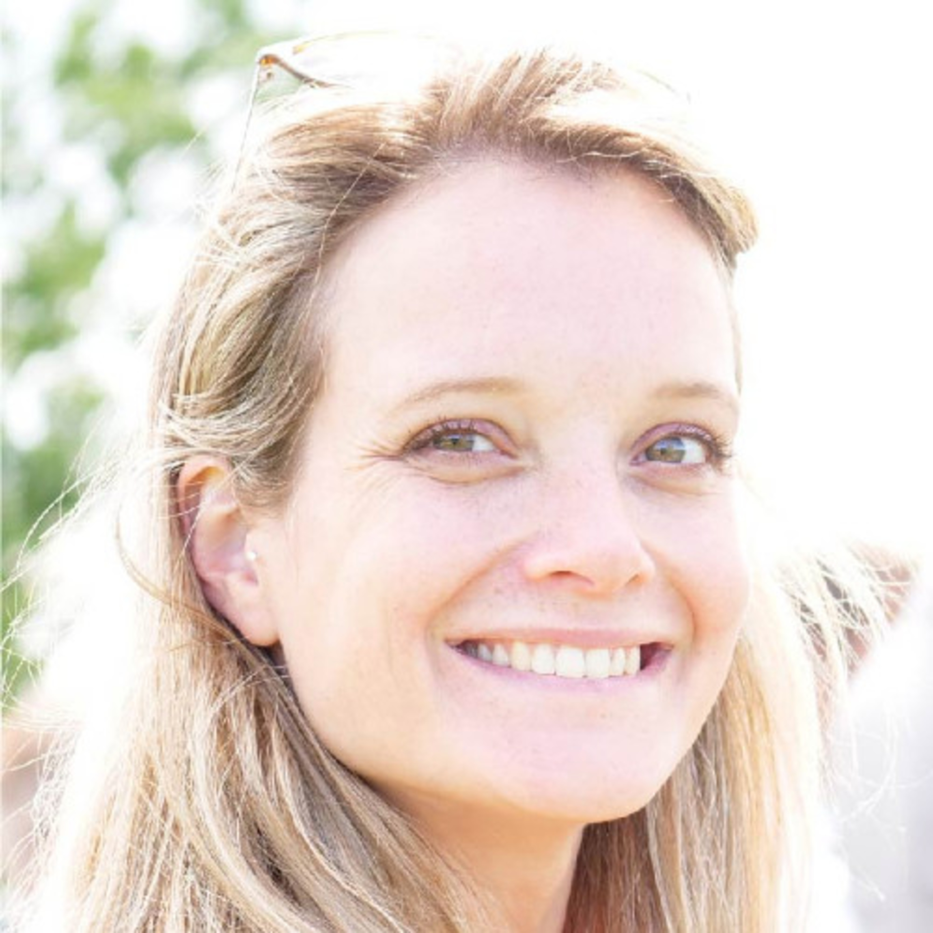 FDR1\'s Drone Vlaming