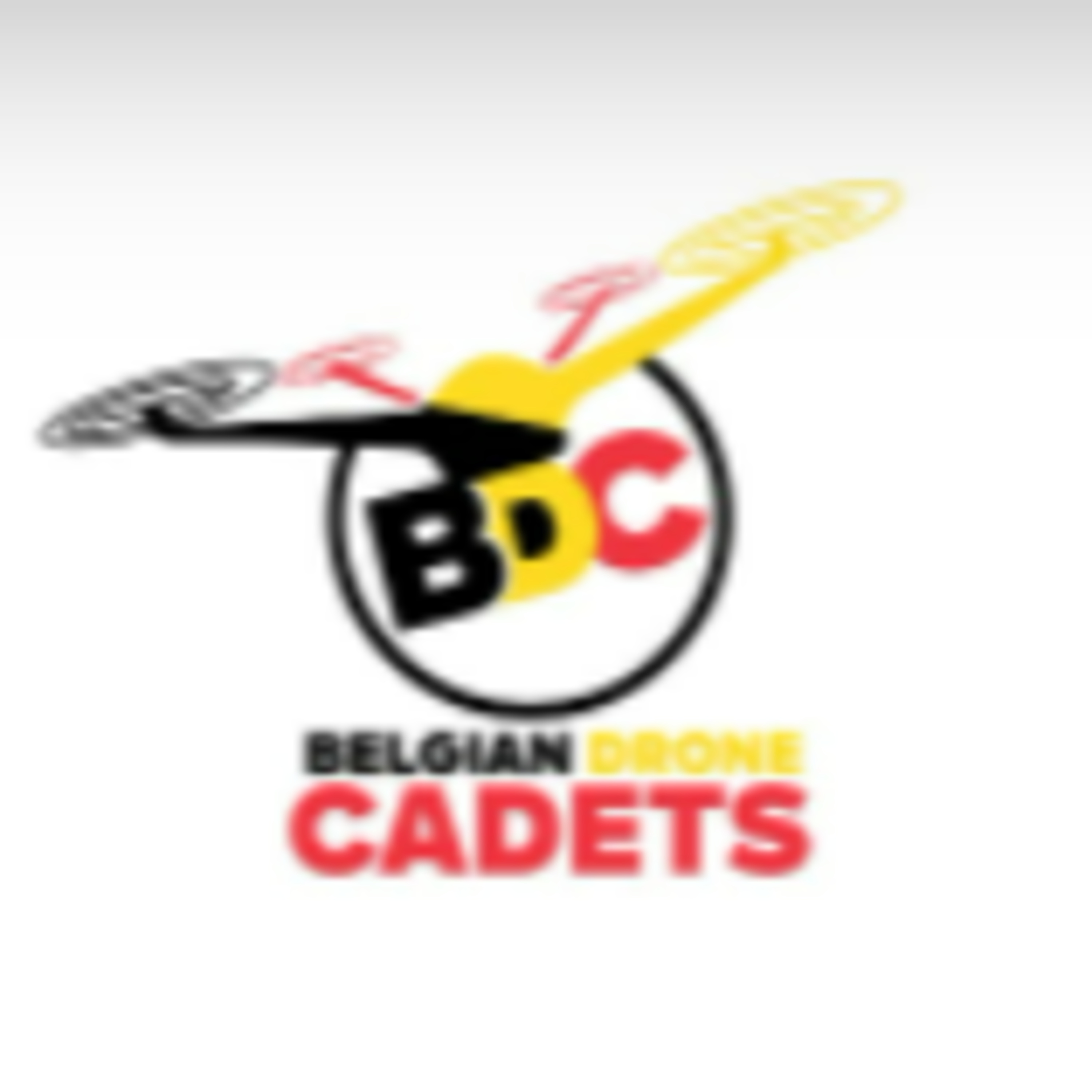 FDR1\'s Drone Vlaming