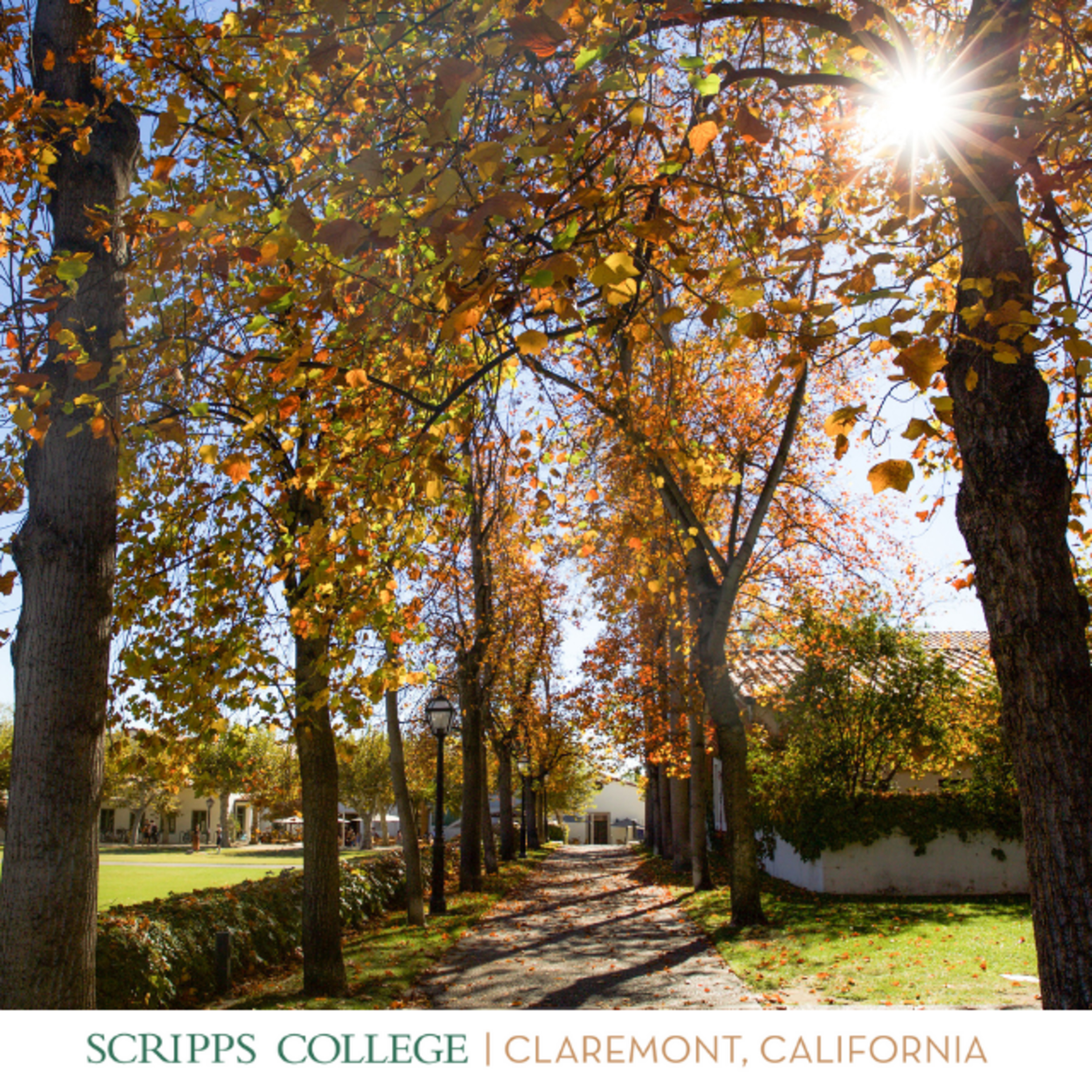 Scripps College