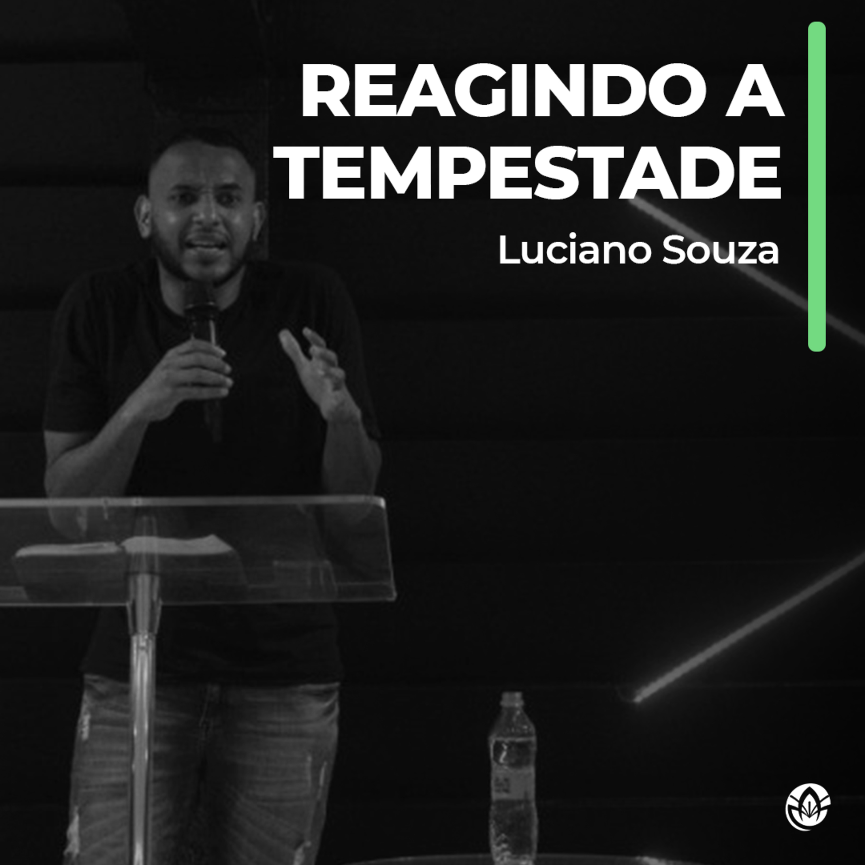 Lírio Parelheiros