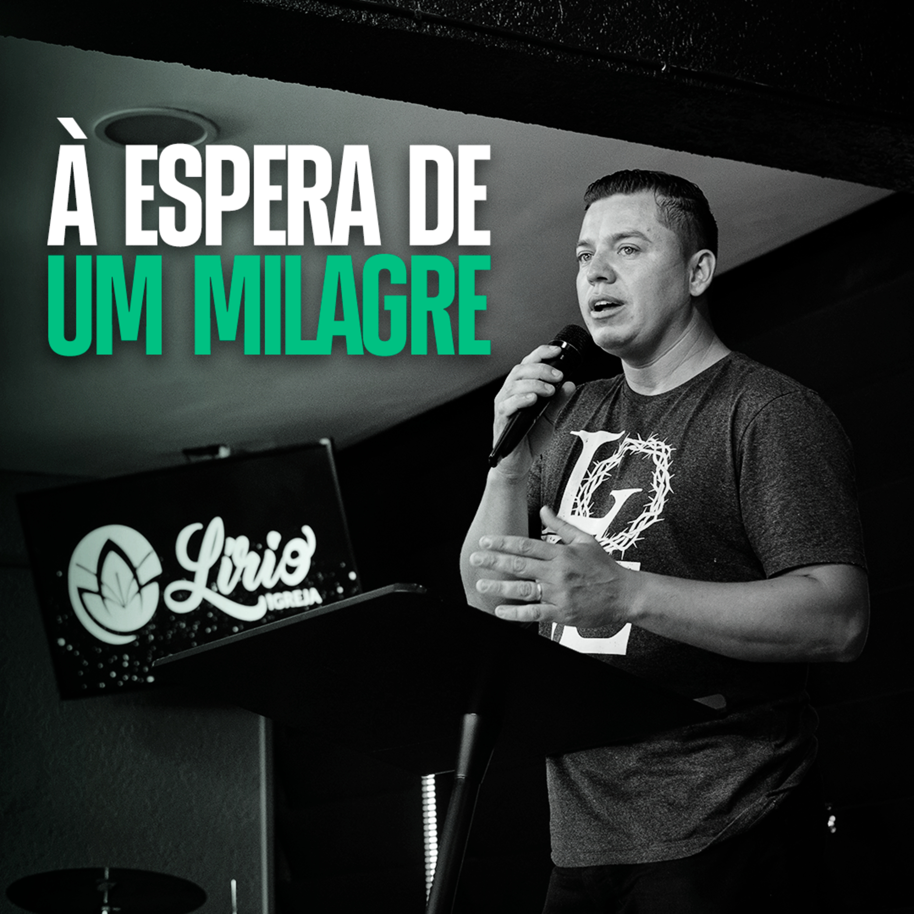 Lírio Parelheiros