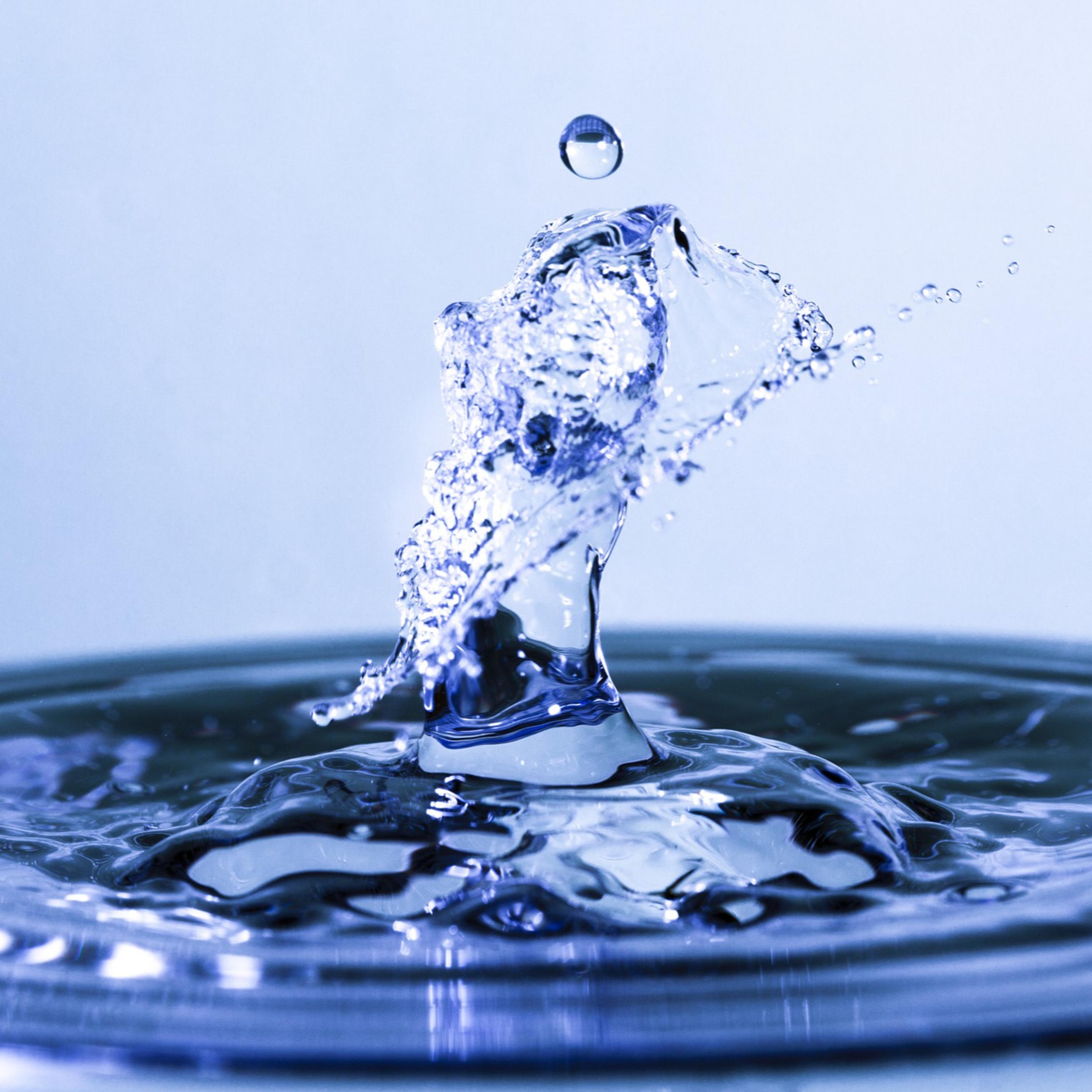 OT for Inclusive Occupations: Stories of Not Just Being Invited to the Party but Dancing