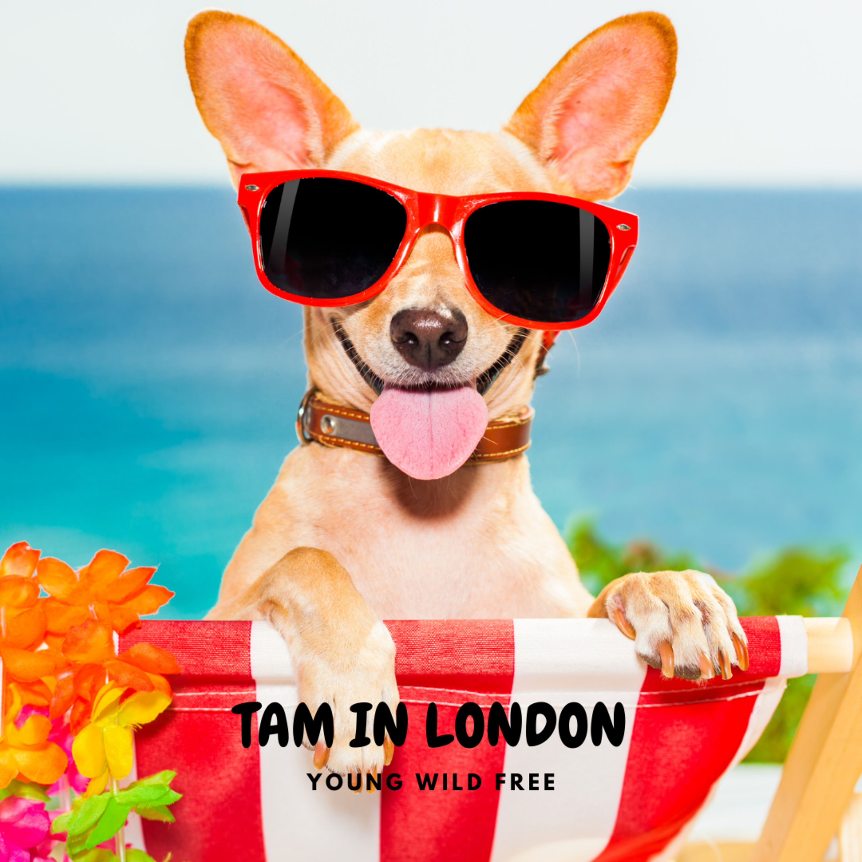 Talking Tam