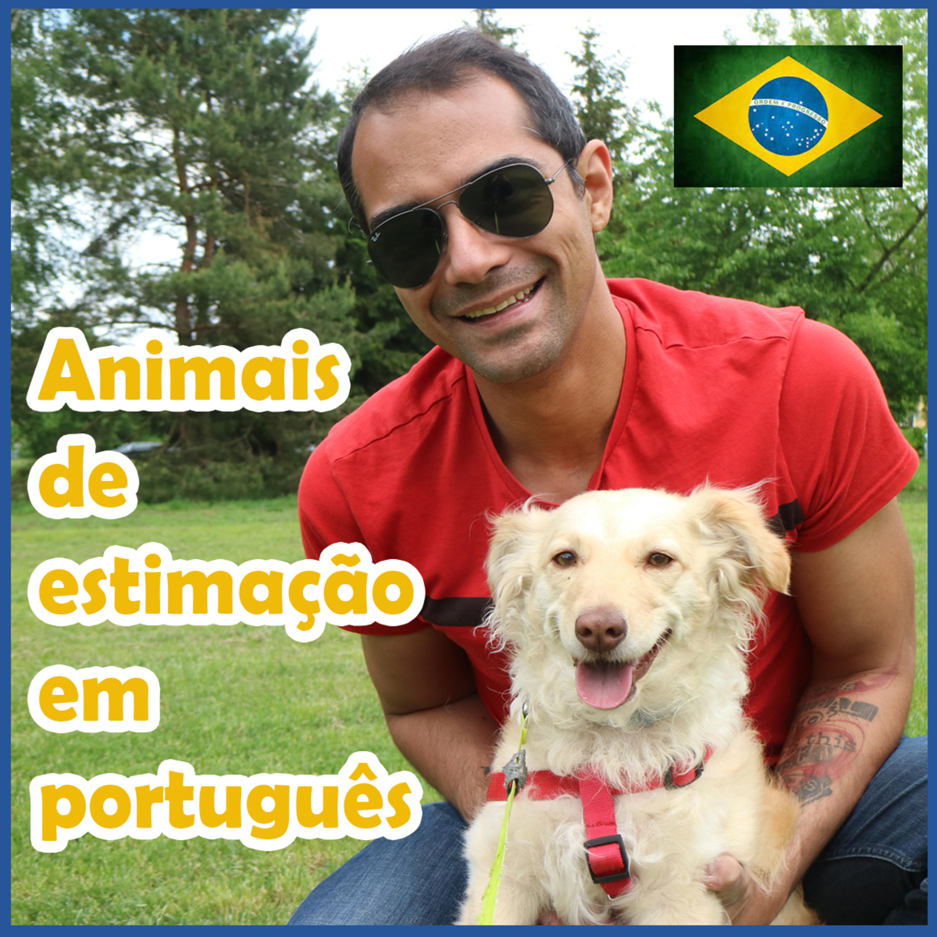 Animais de estimação em português | Aprender Português episode artwork