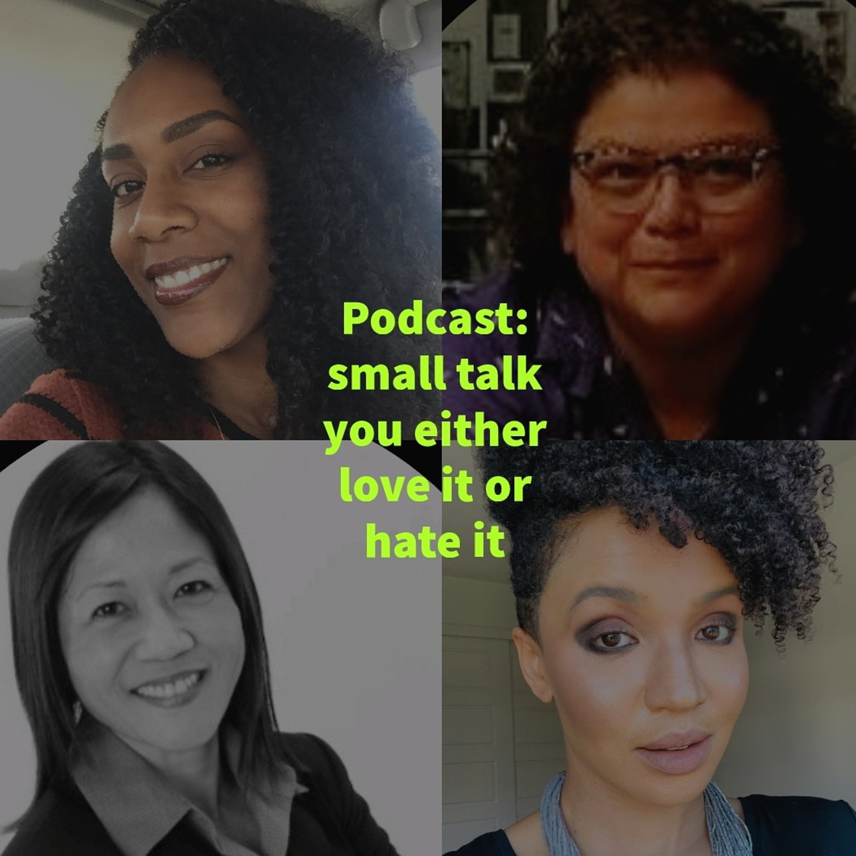 Episode 14: Small Talk You Either Love It or Hate It...    episode artwork