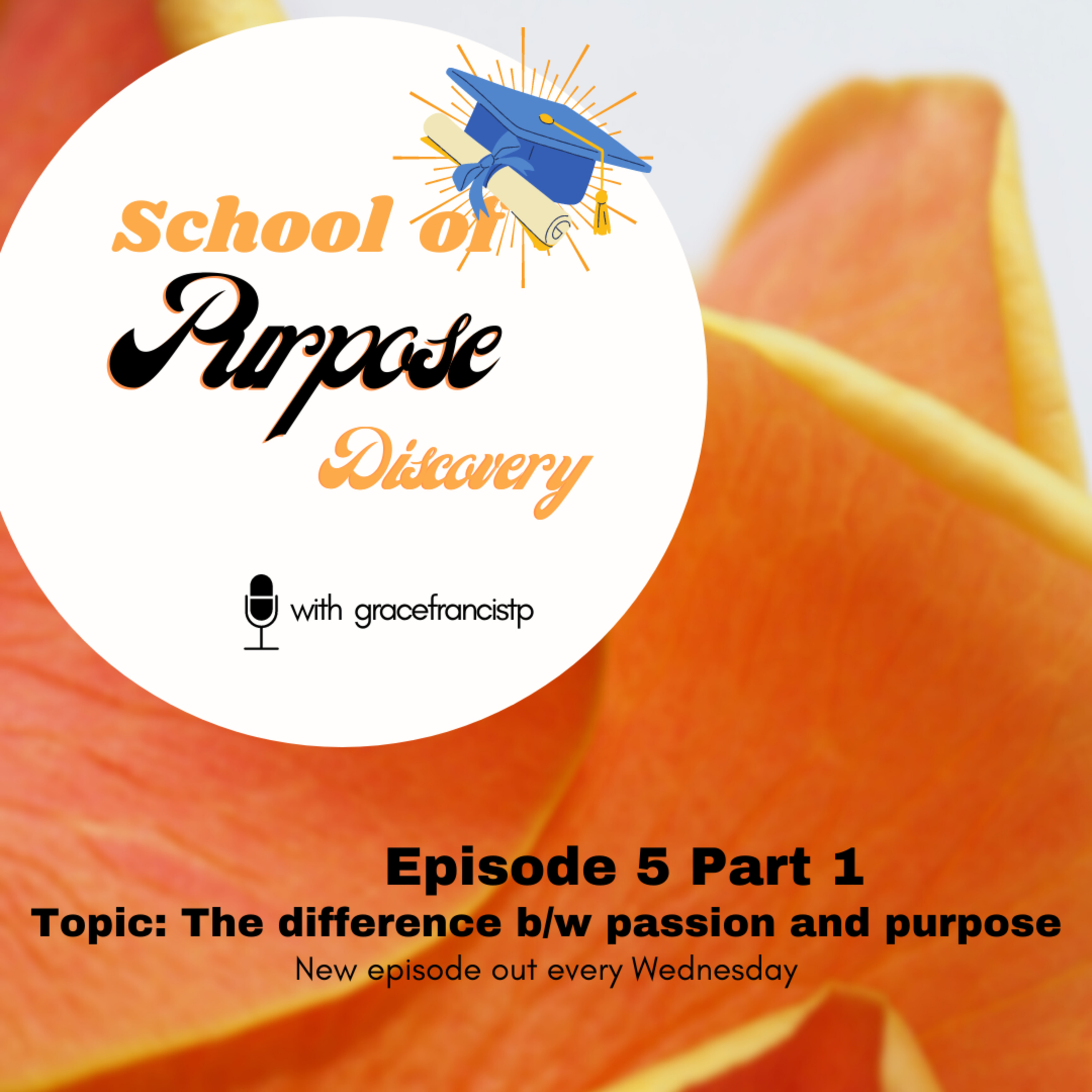 School Of Purpose Discovery on Jamit