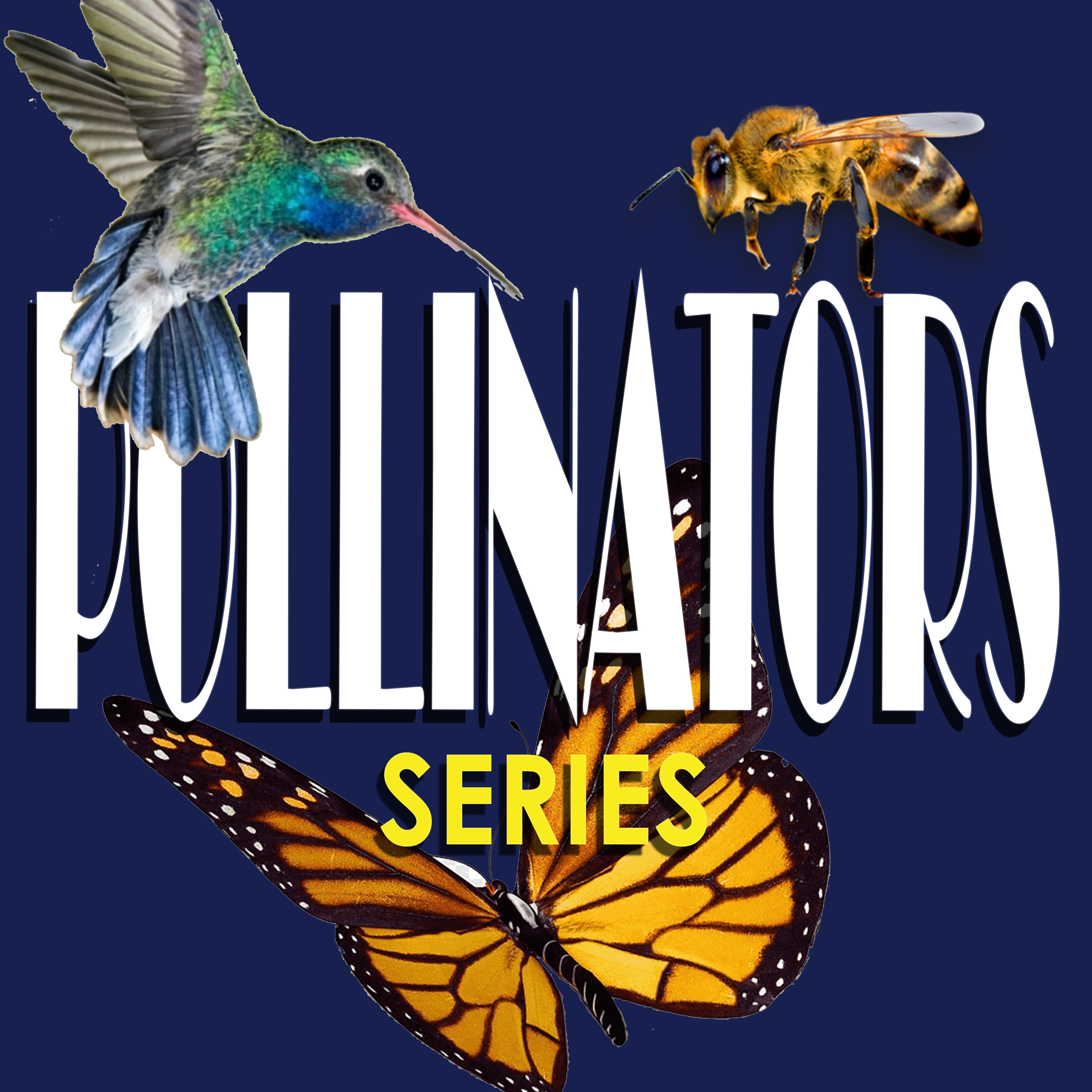 Plantaholics Podcast