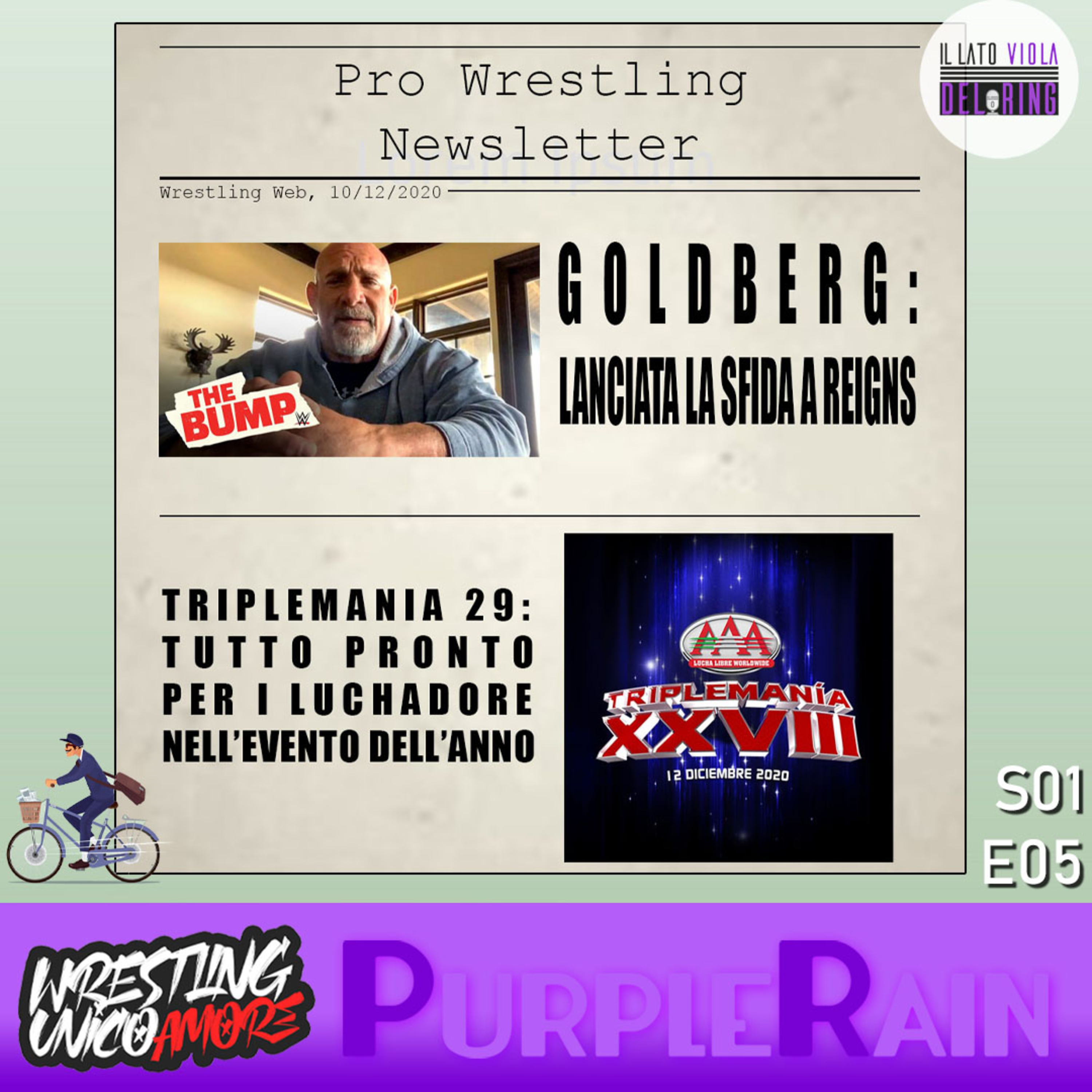IL LATO VIOLA DEL RING