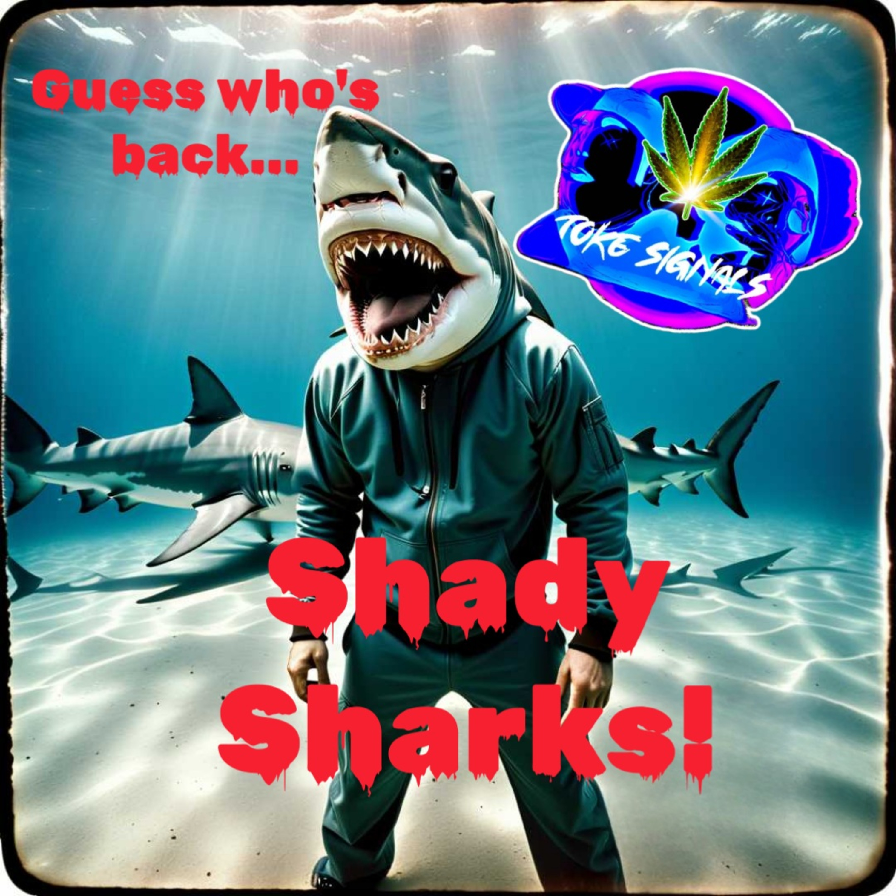 Guess who's back... Shady Sharks!  episode artwork
