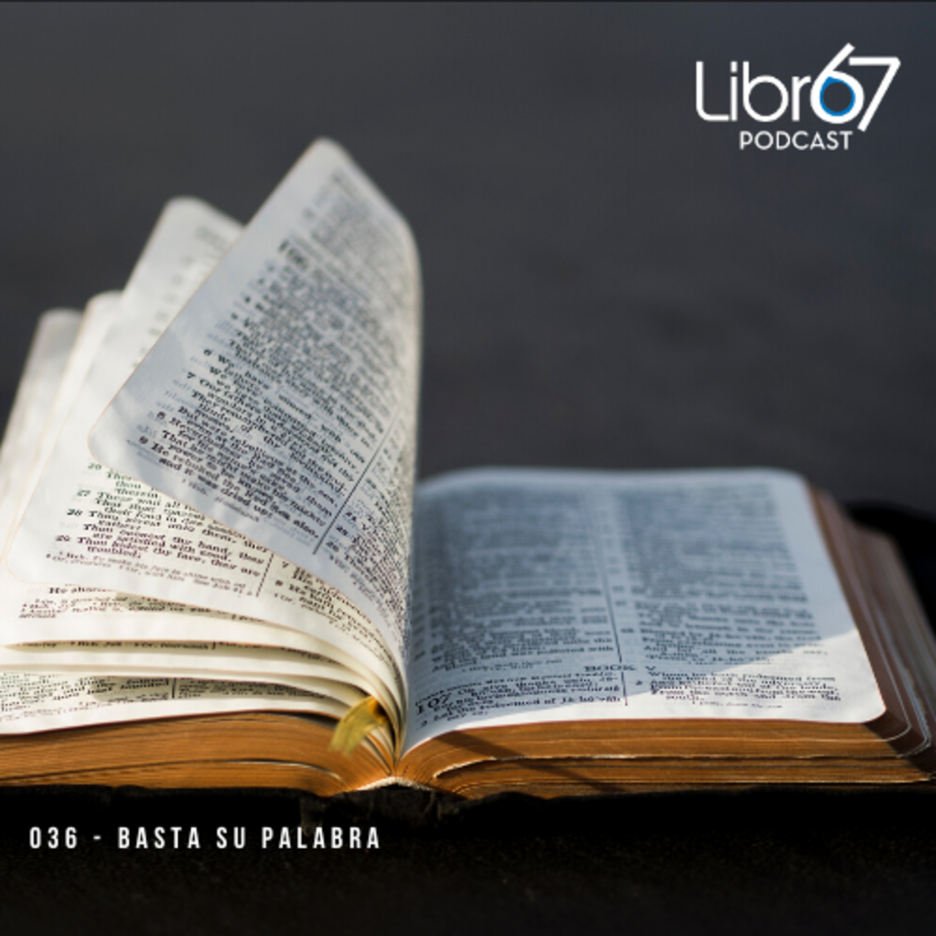 Libro 67