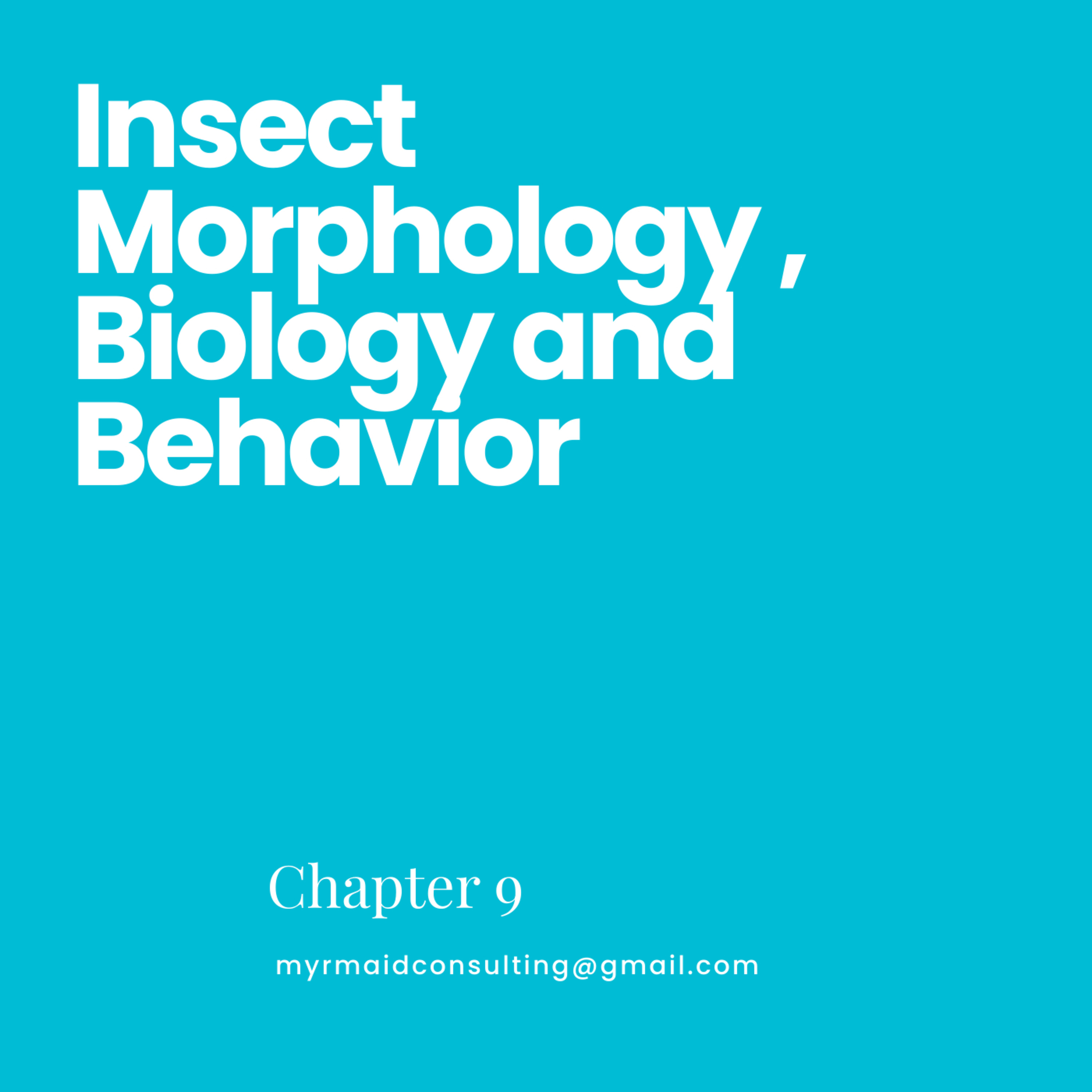 ACE the ACE Morphology, Biology and Behavior of Insects episode artwork