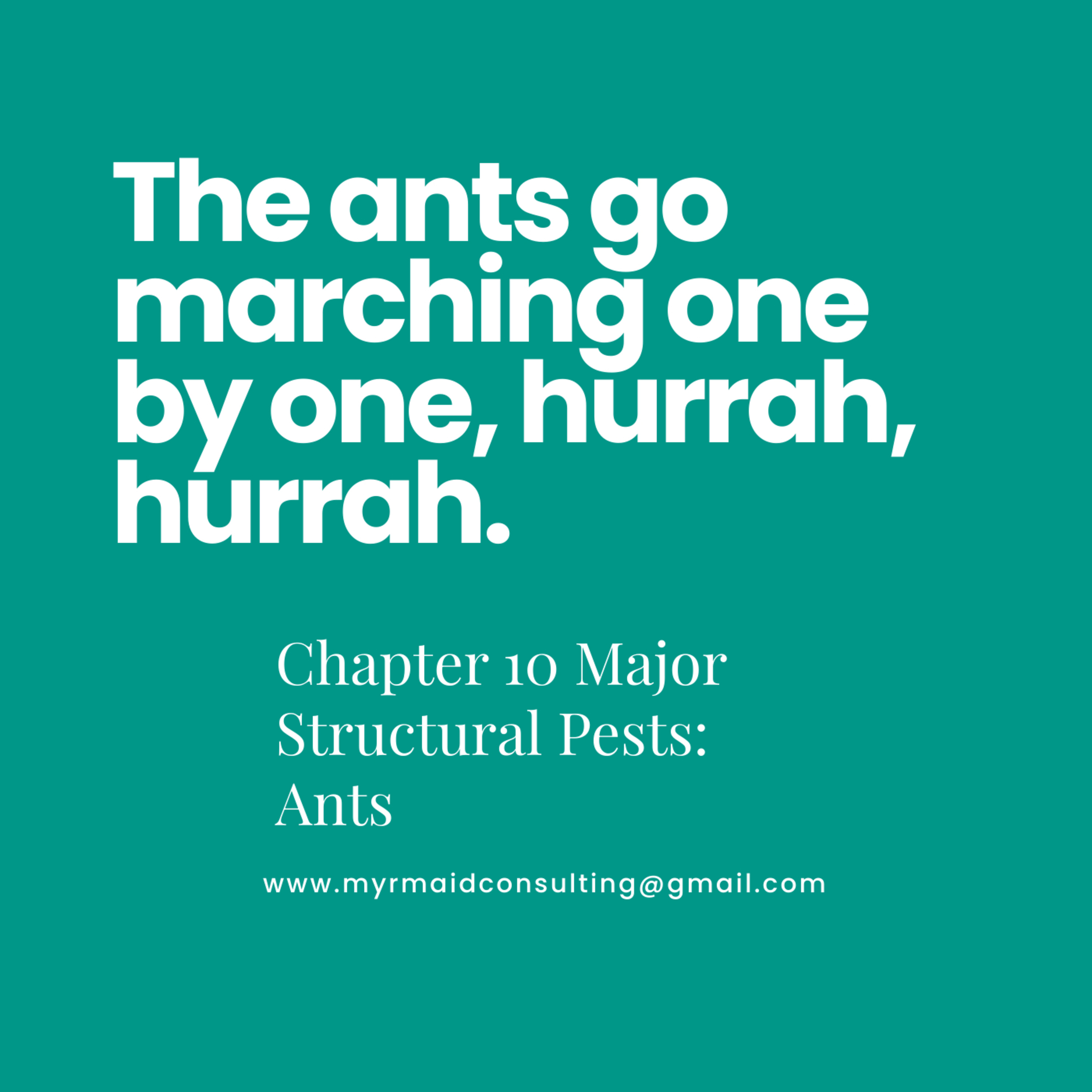 The ants go marching one by one hurrah,hurrah. episode artwork