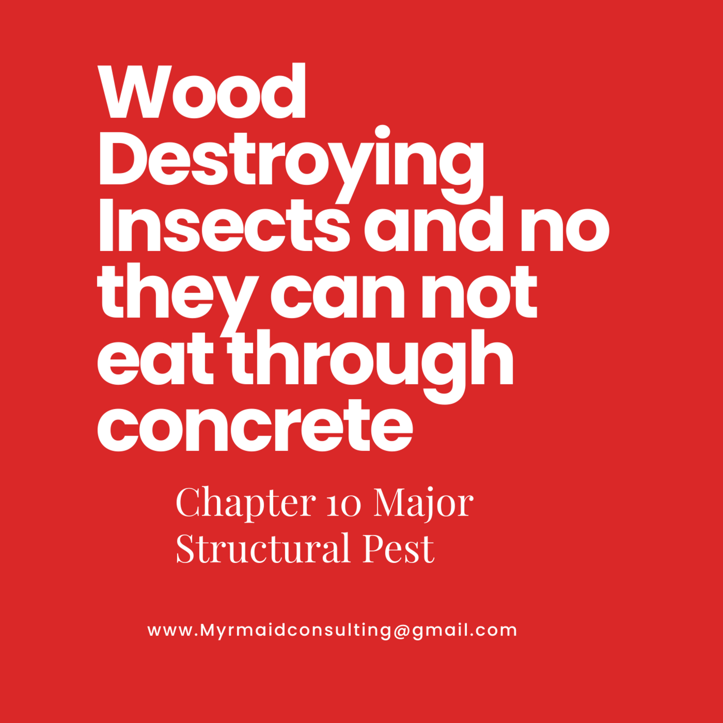 Wood Destroying Insects