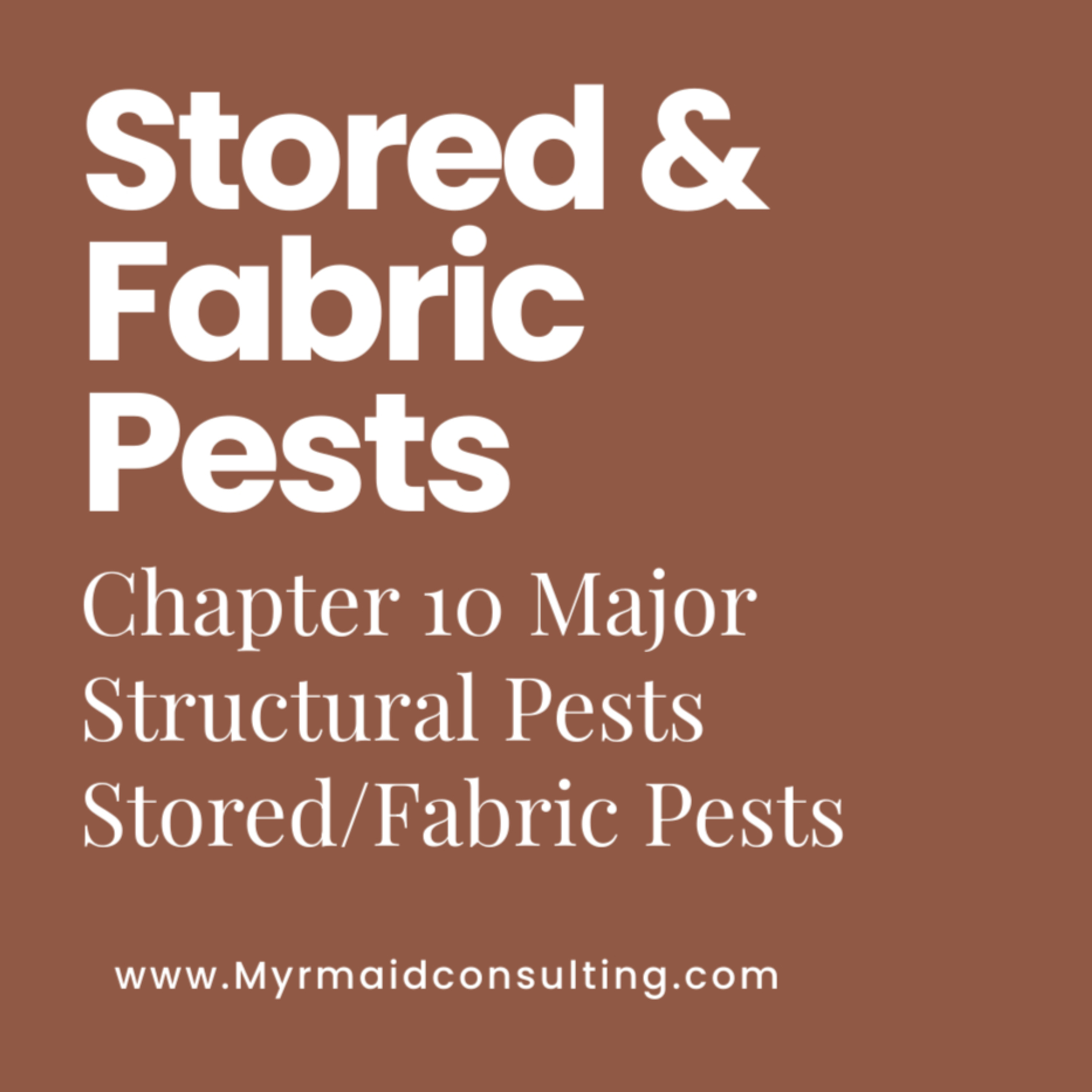 Stored Product and Fabric Pests.. 'Tis the Season 