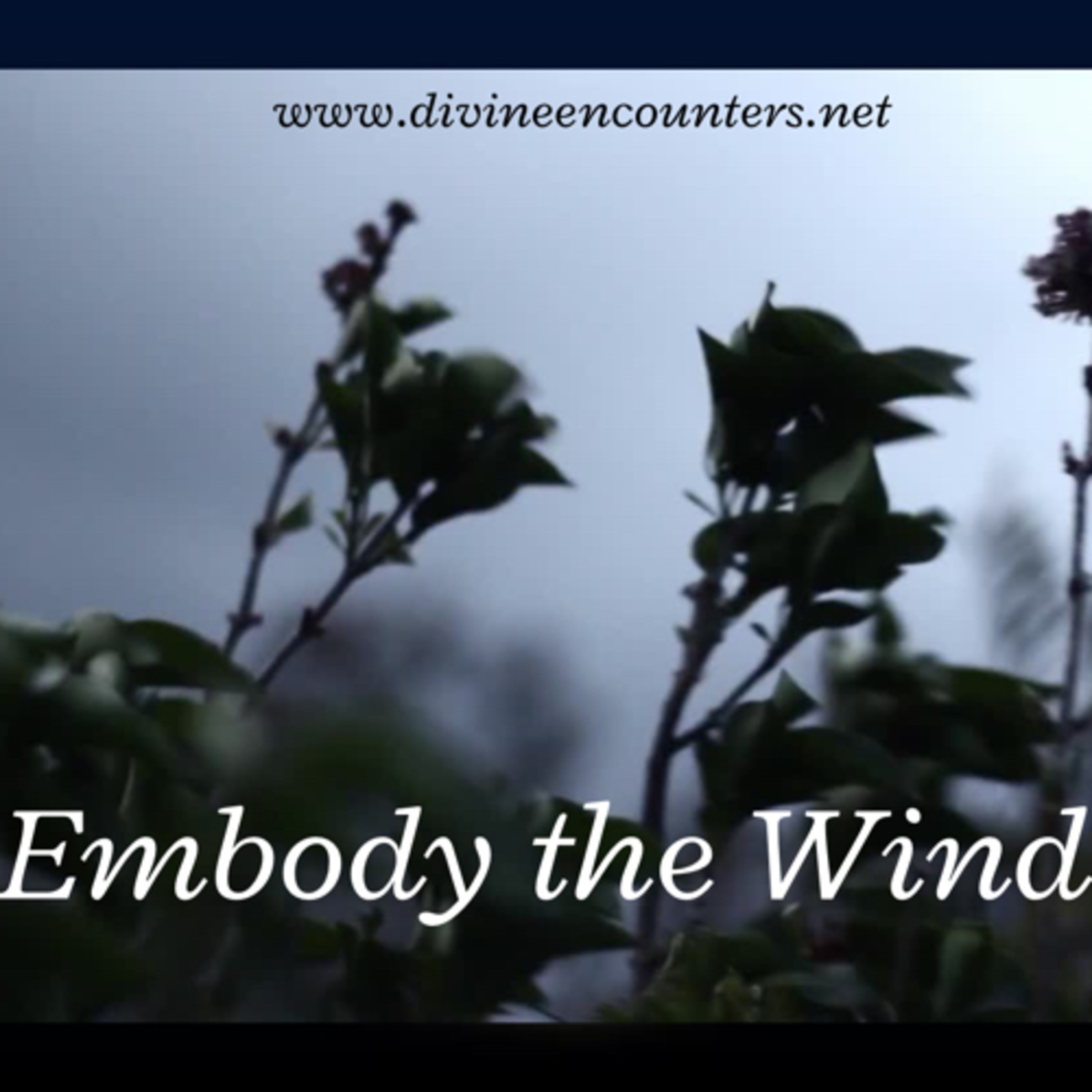 Embody the Wind