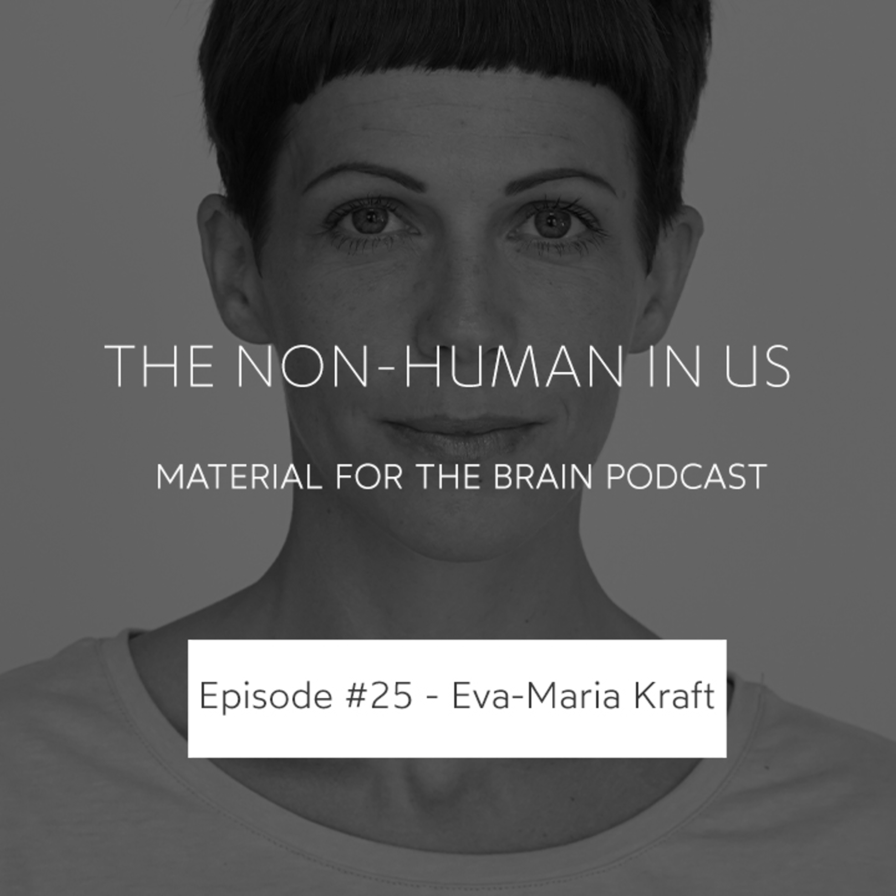 Material for the brain