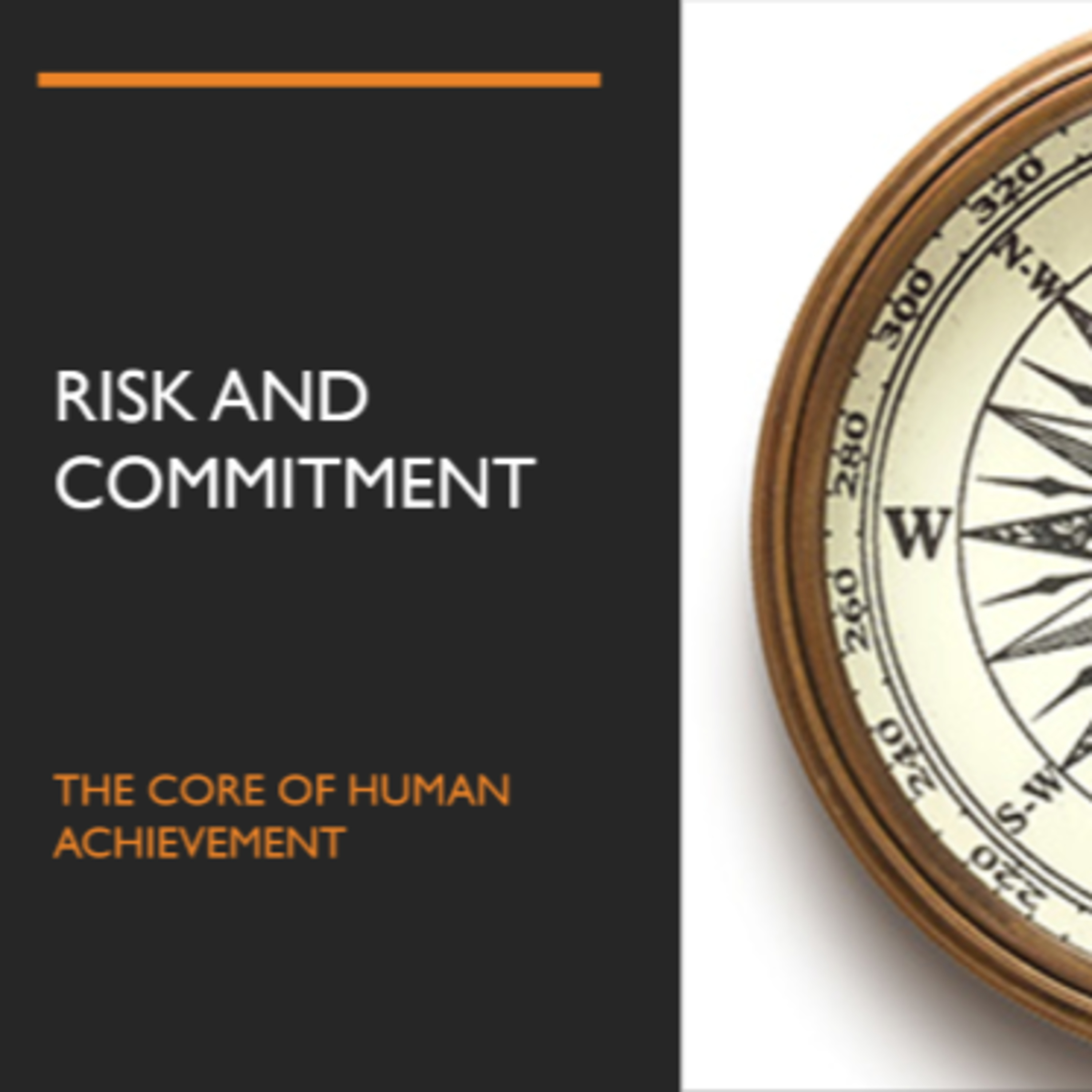 INTRODUCTION TO RISK AND COMMITMENT episode artwork
