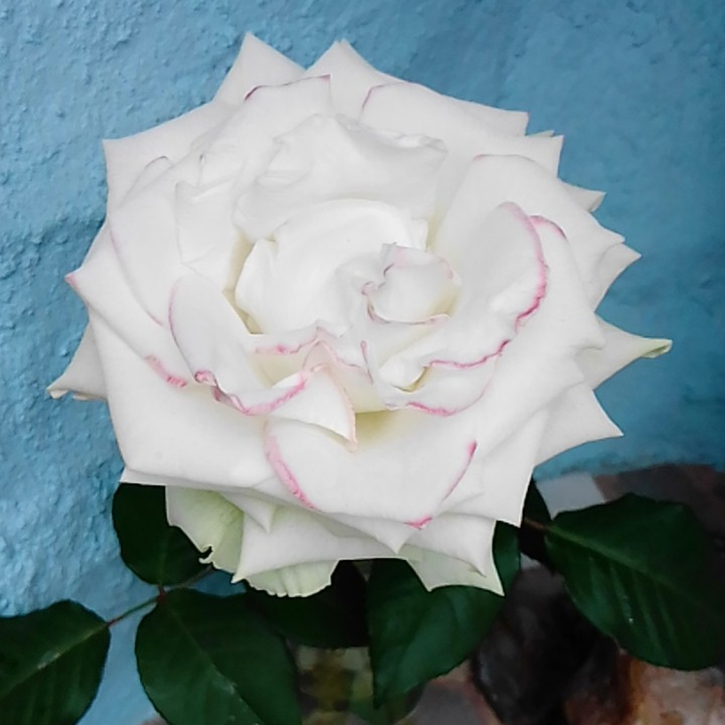 El Poder Está En Ti...