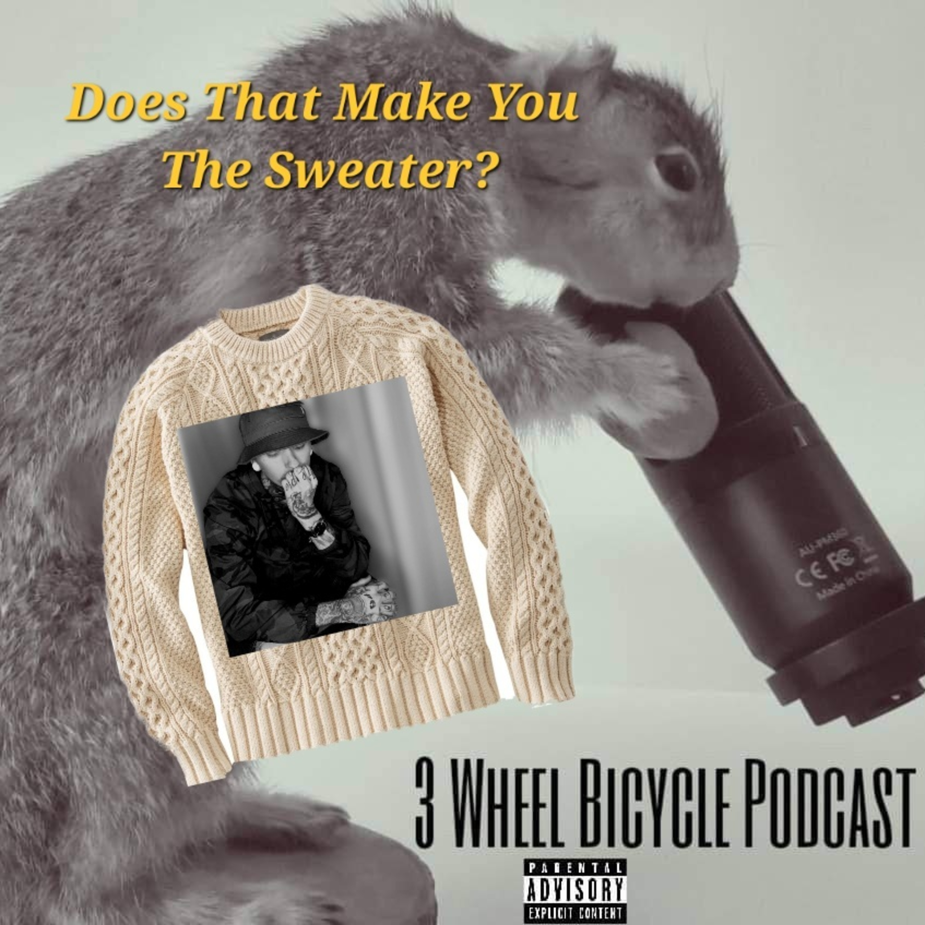 3 Wheel Bicycle Podcast