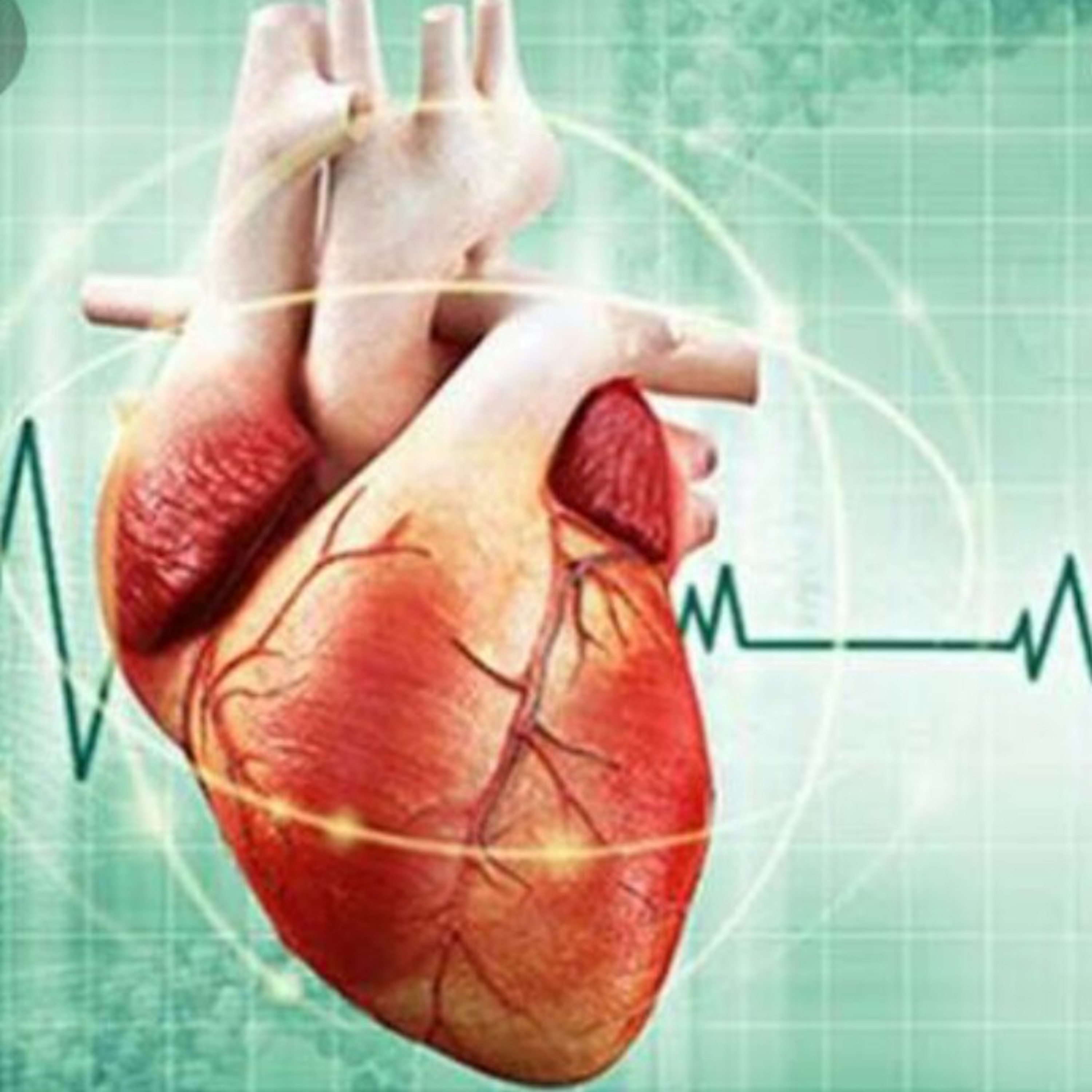 Podcast UNIFAN - Ecocardiograma