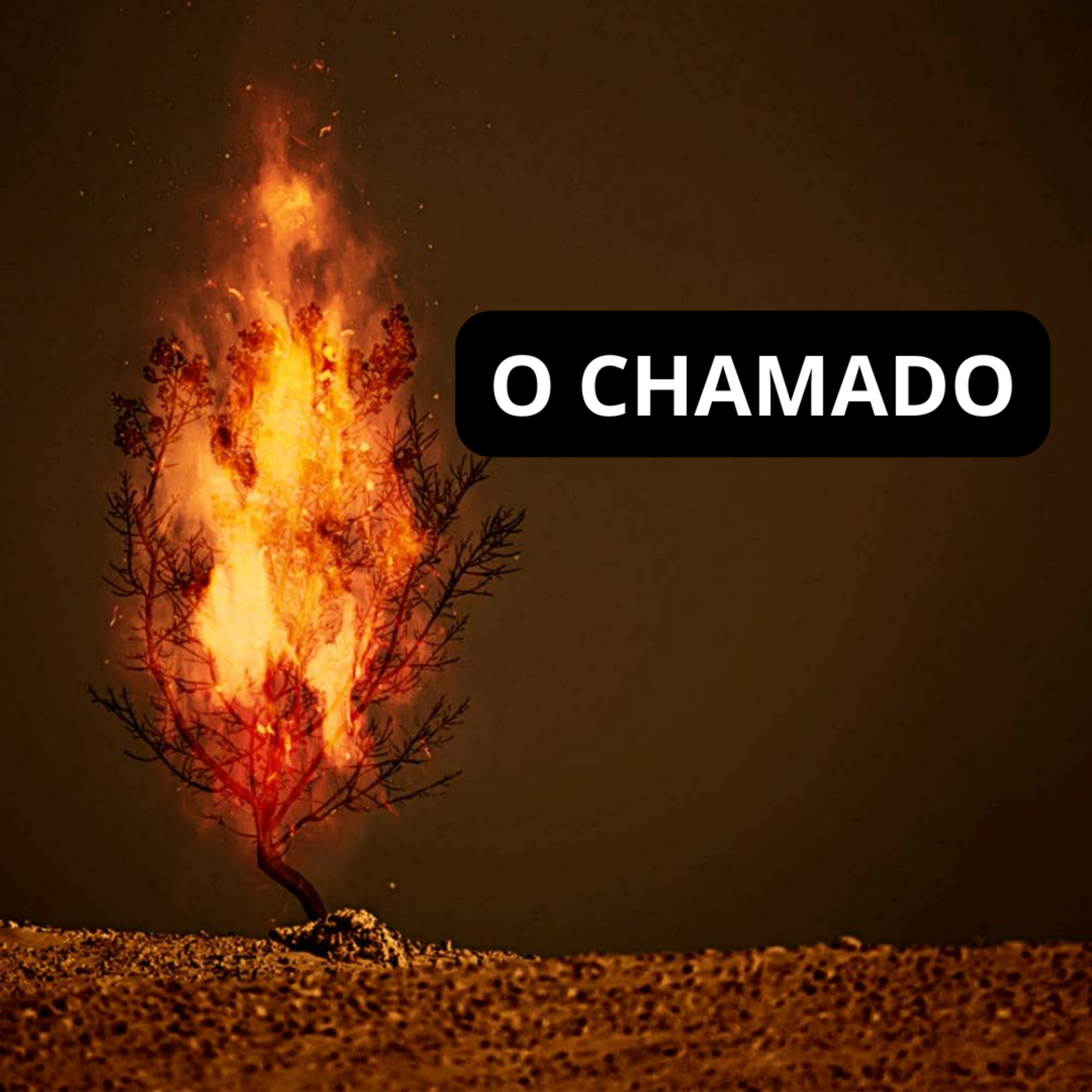 O CHAMADO. episode artwork